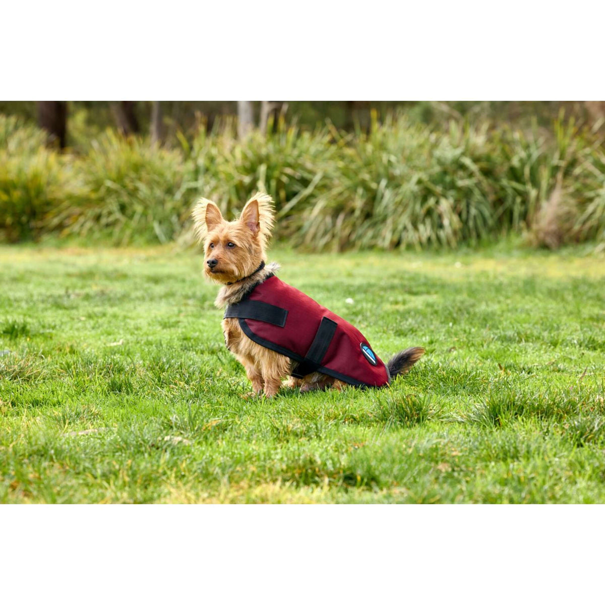 WeatherBeeta Dog Rug ComFiTec Classic Waterproof Burgundy