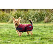 WeatherBeeta Dog Rug ComFiTec Classic Waterproof Burgundy