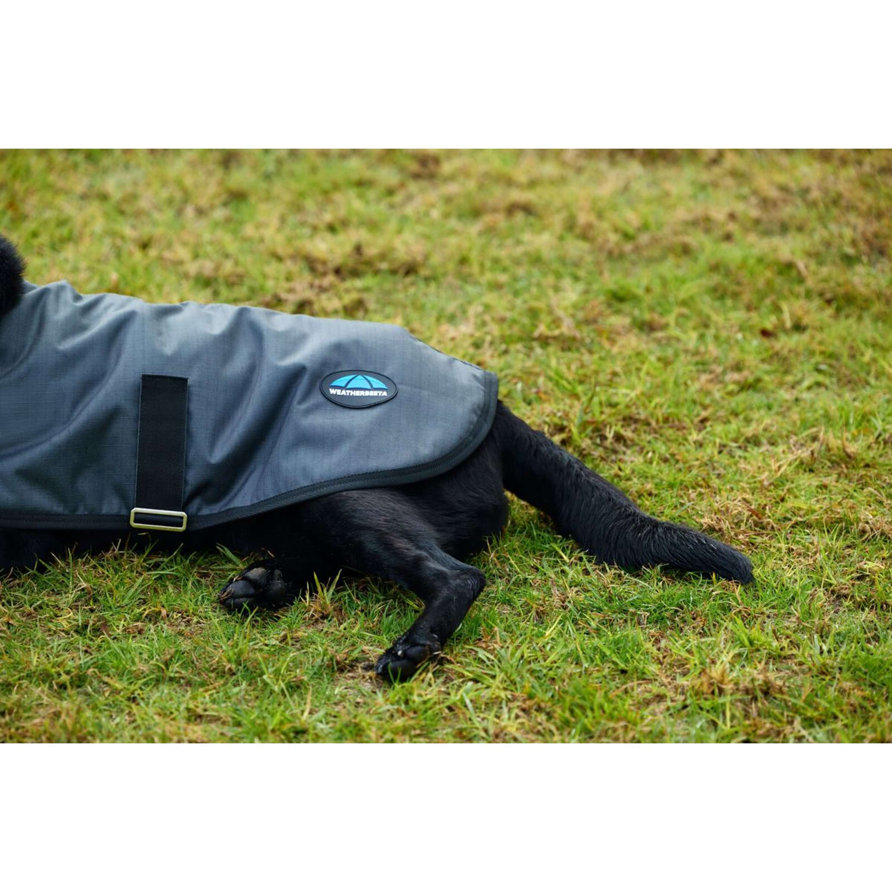 WeatherBeeta Dog Rug ComFiTec Classic Waterproof Charcoal
