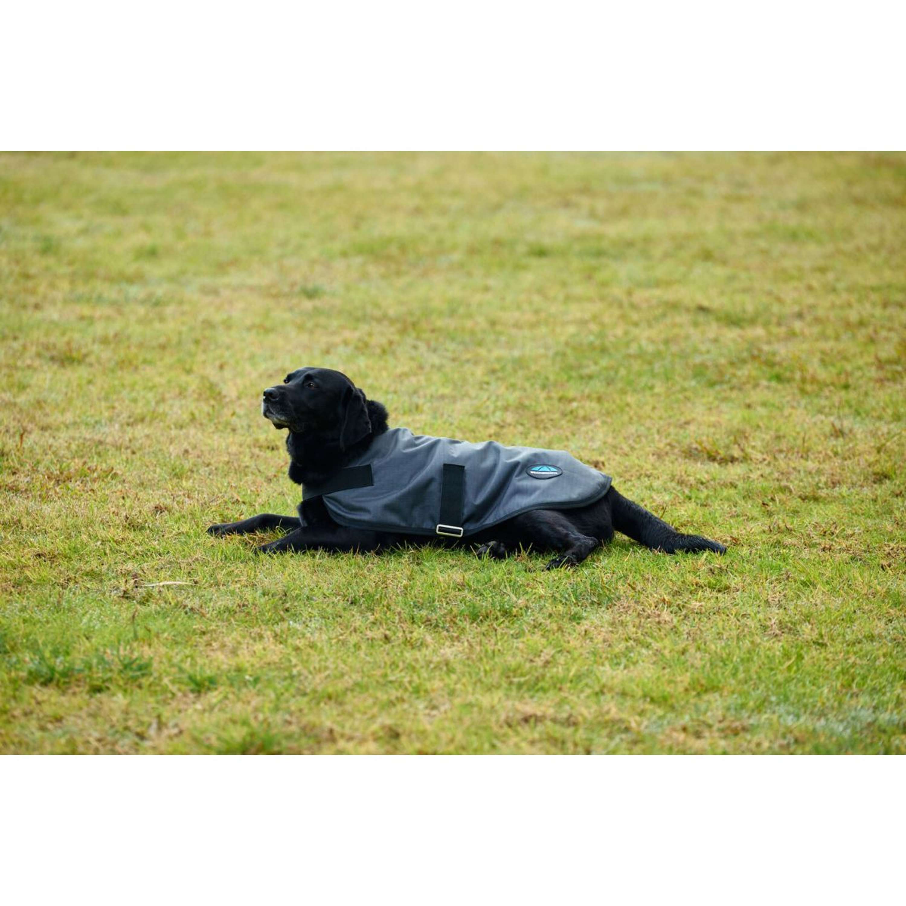 WeatherBeeta Dog Rug ComFiTec Classic Waterproof Charcoal