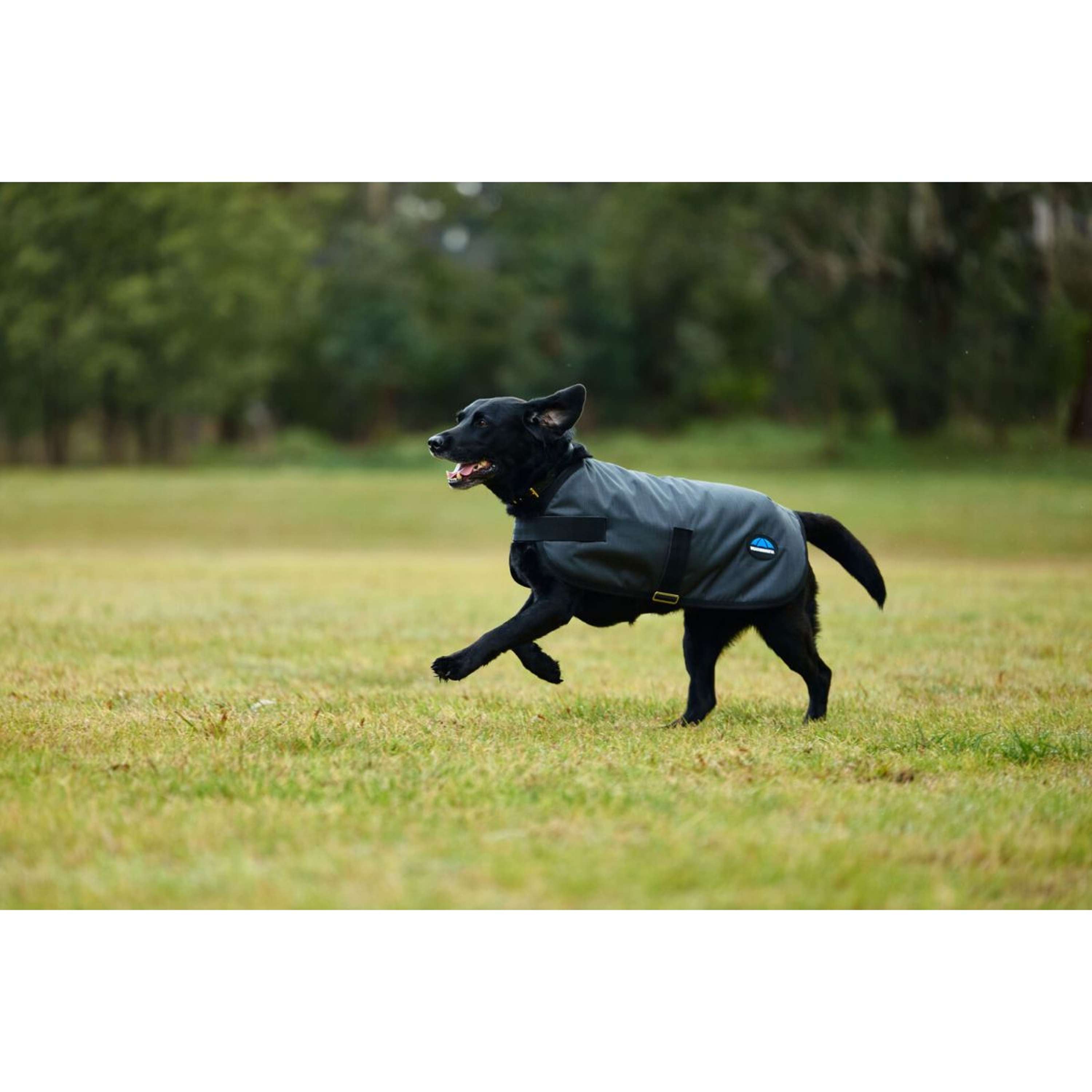 WeatherBeeta Dog Rug ComFiTec Classic Waterproof Charcoal