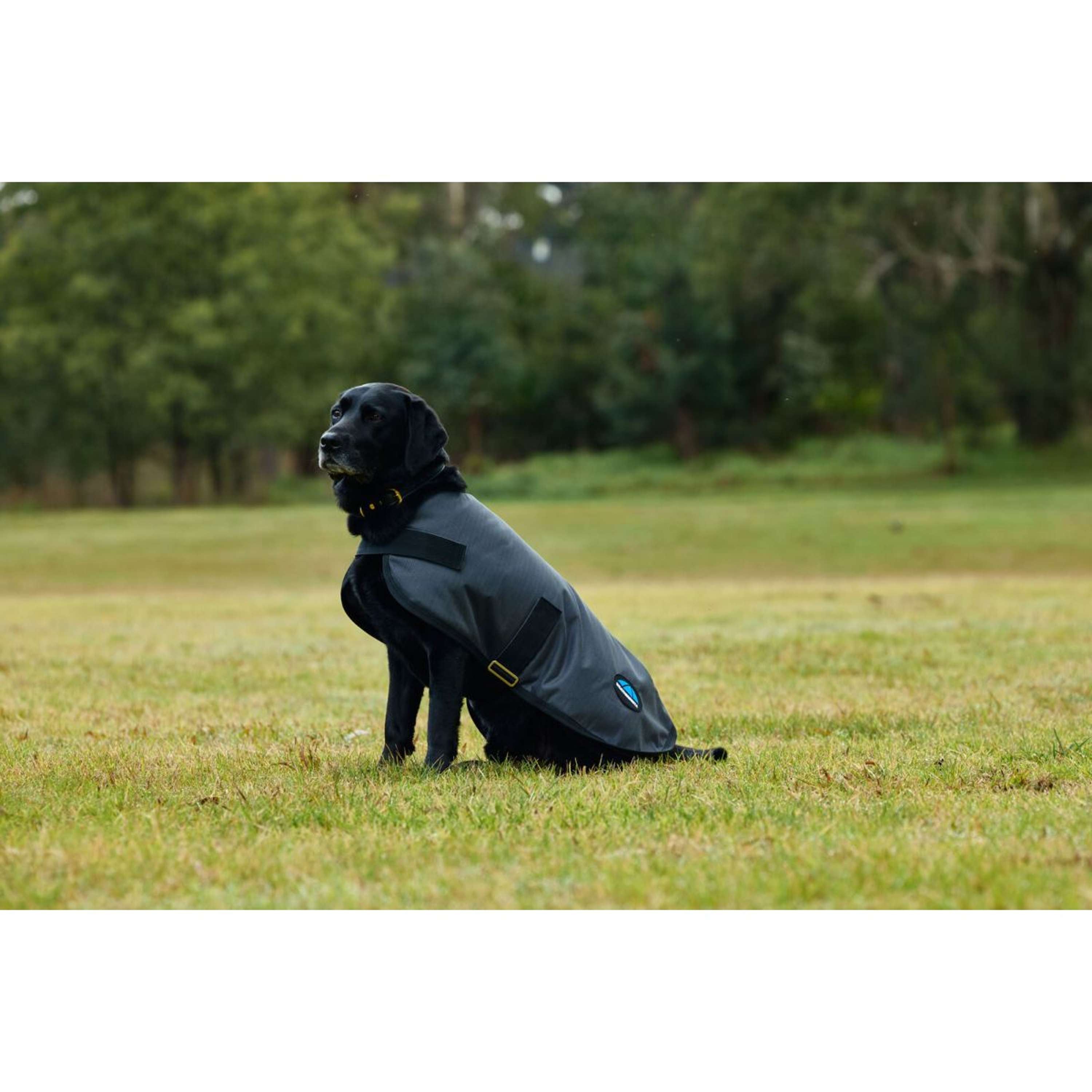 WeatherBeeta Dog Rug ComFiTec Classic Waterproof Charcoal