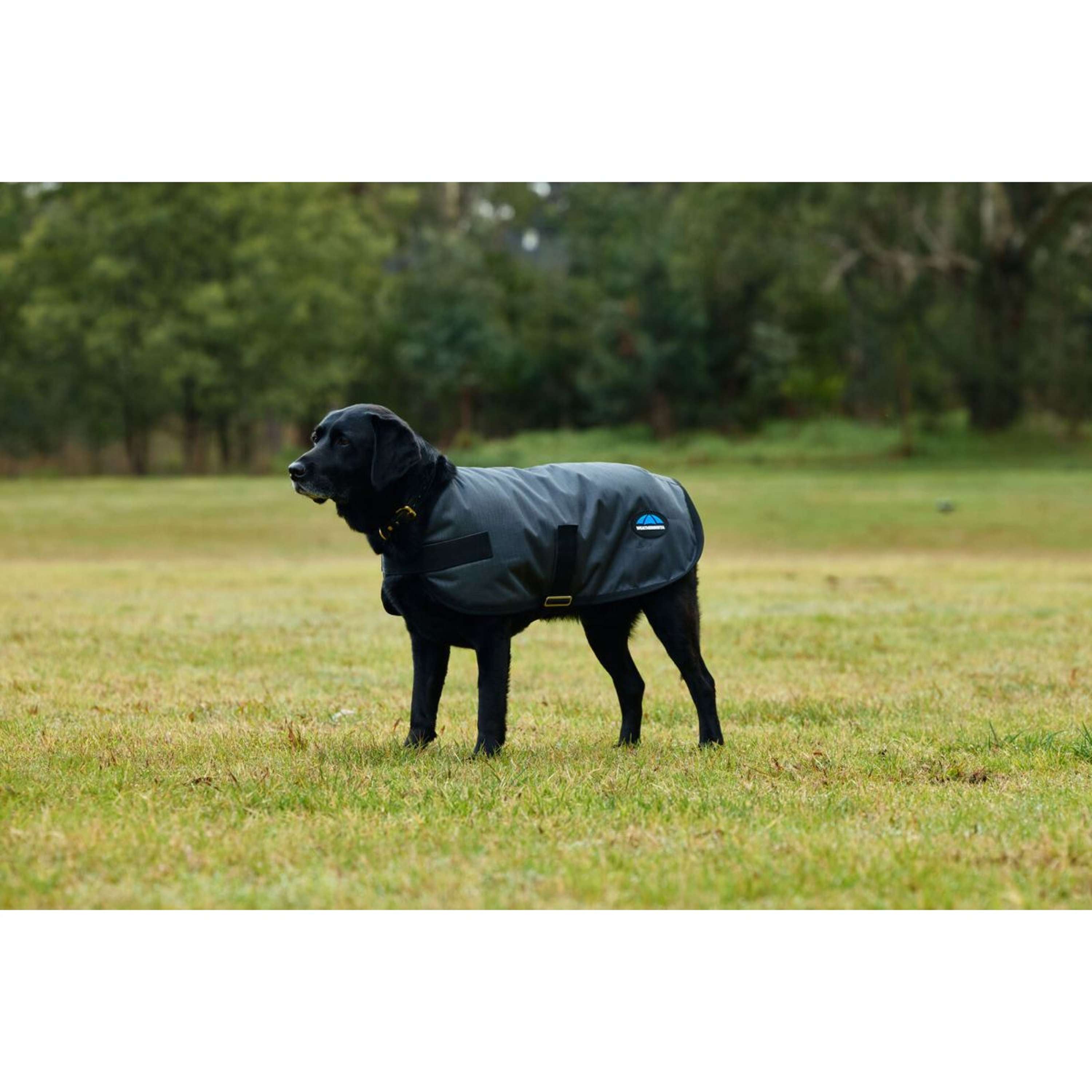 WeatherBeeta Dog Rug ComFiTec Classic Waterproof Charcoal