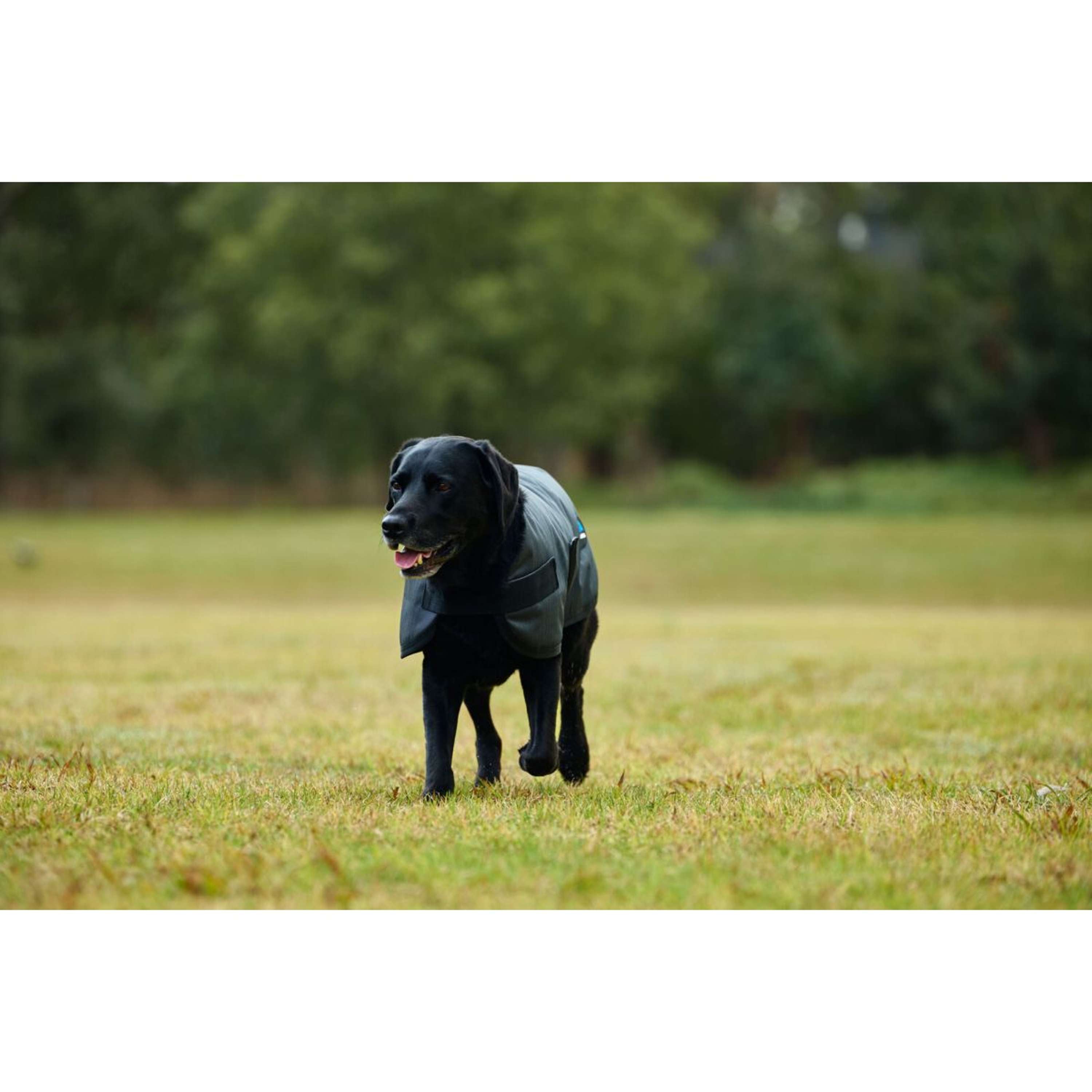 WeatherBeeta Dog Rug ComFiTec Classic Waterproof Charcoal