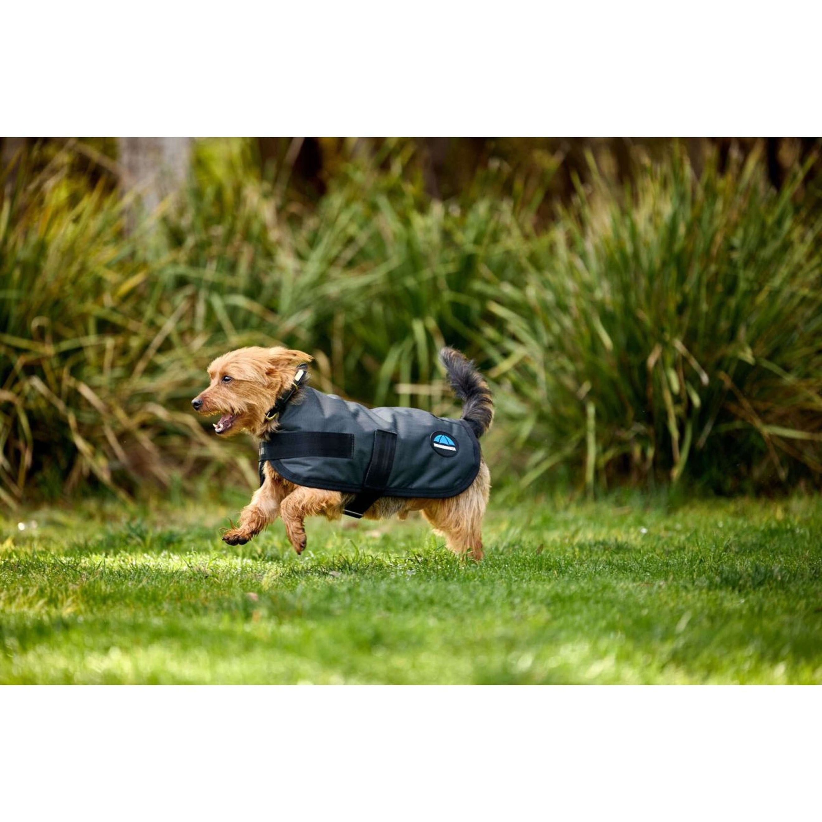 WeatherBeeta Dog Rug ComFiTec Classic Waterproof Charcoal