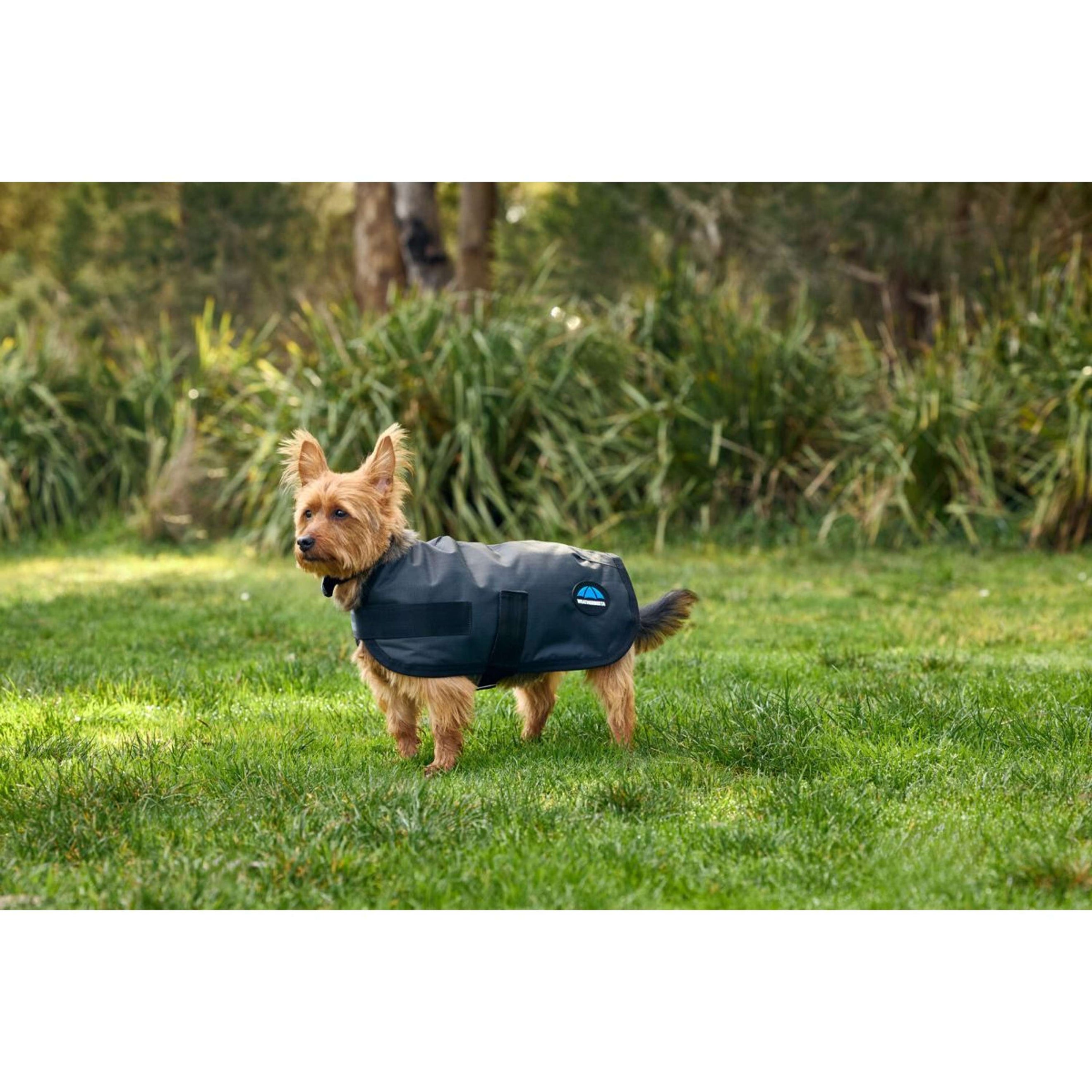 WeatherBeeta Dog Rug ComFiTec Classic Waterproof Charcoal