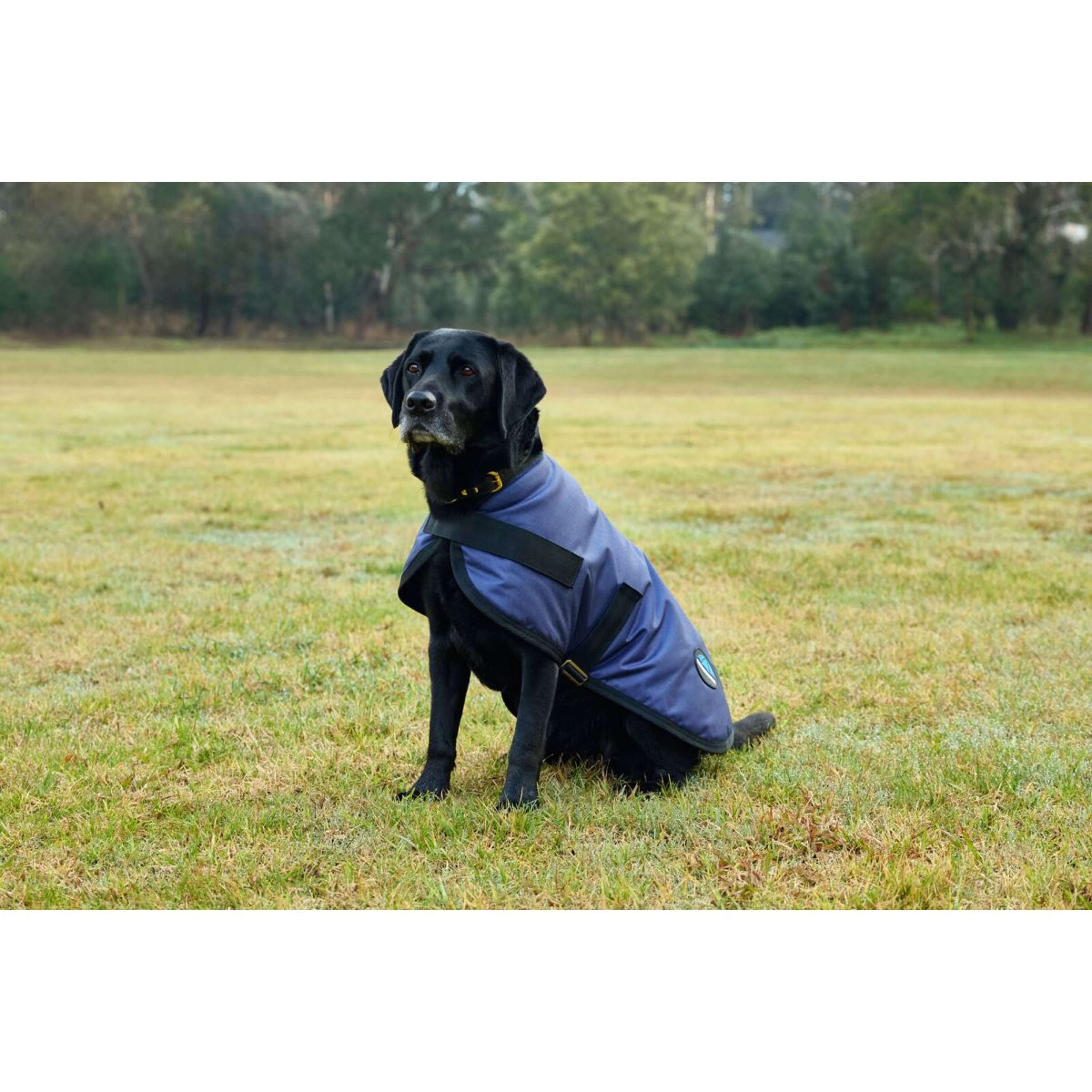 WeatherBeeta Dog Rug ComFiTec Classic Waterproof Navy