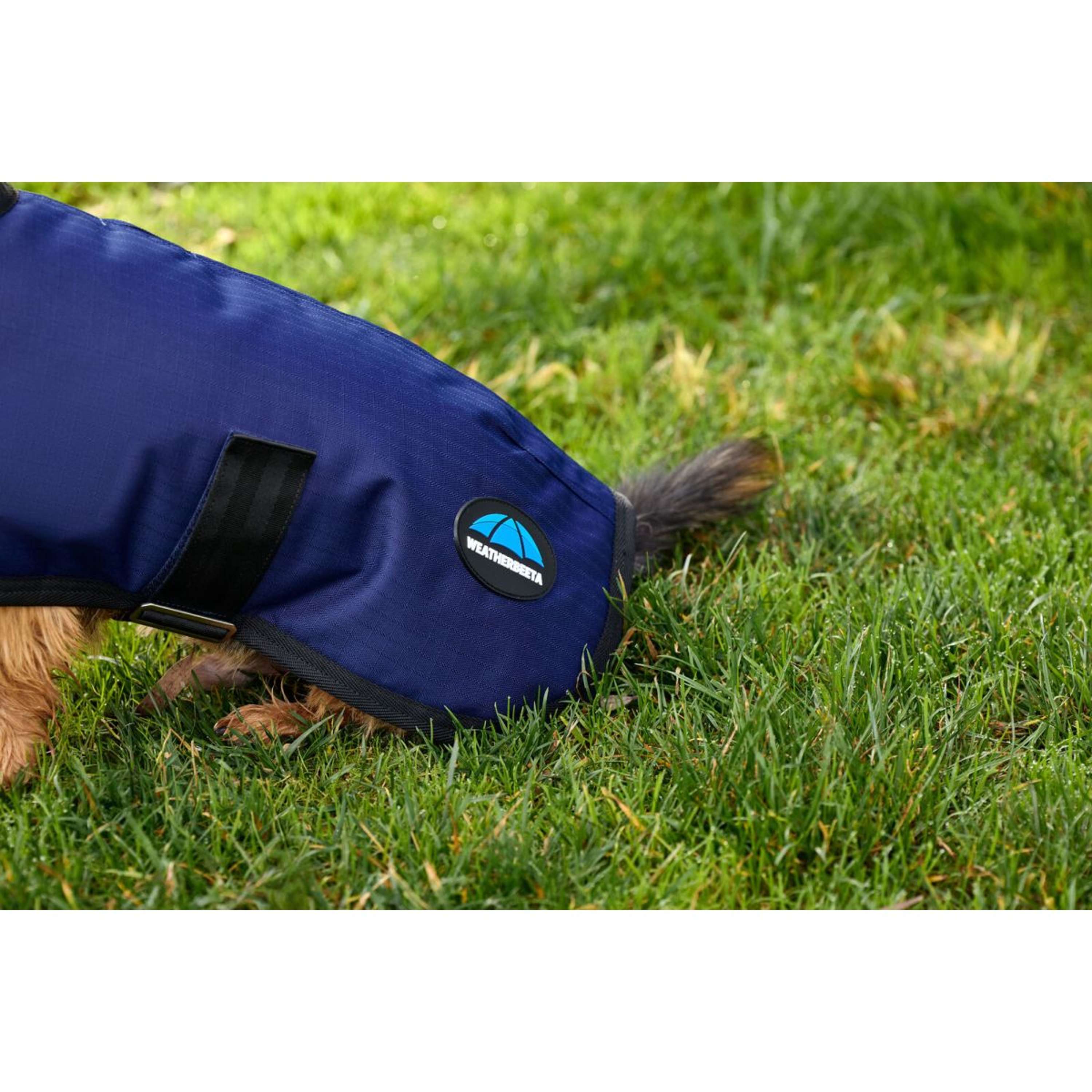 WeatherBeeta Dog Rug ComFiTec Classic Waterproof Navy