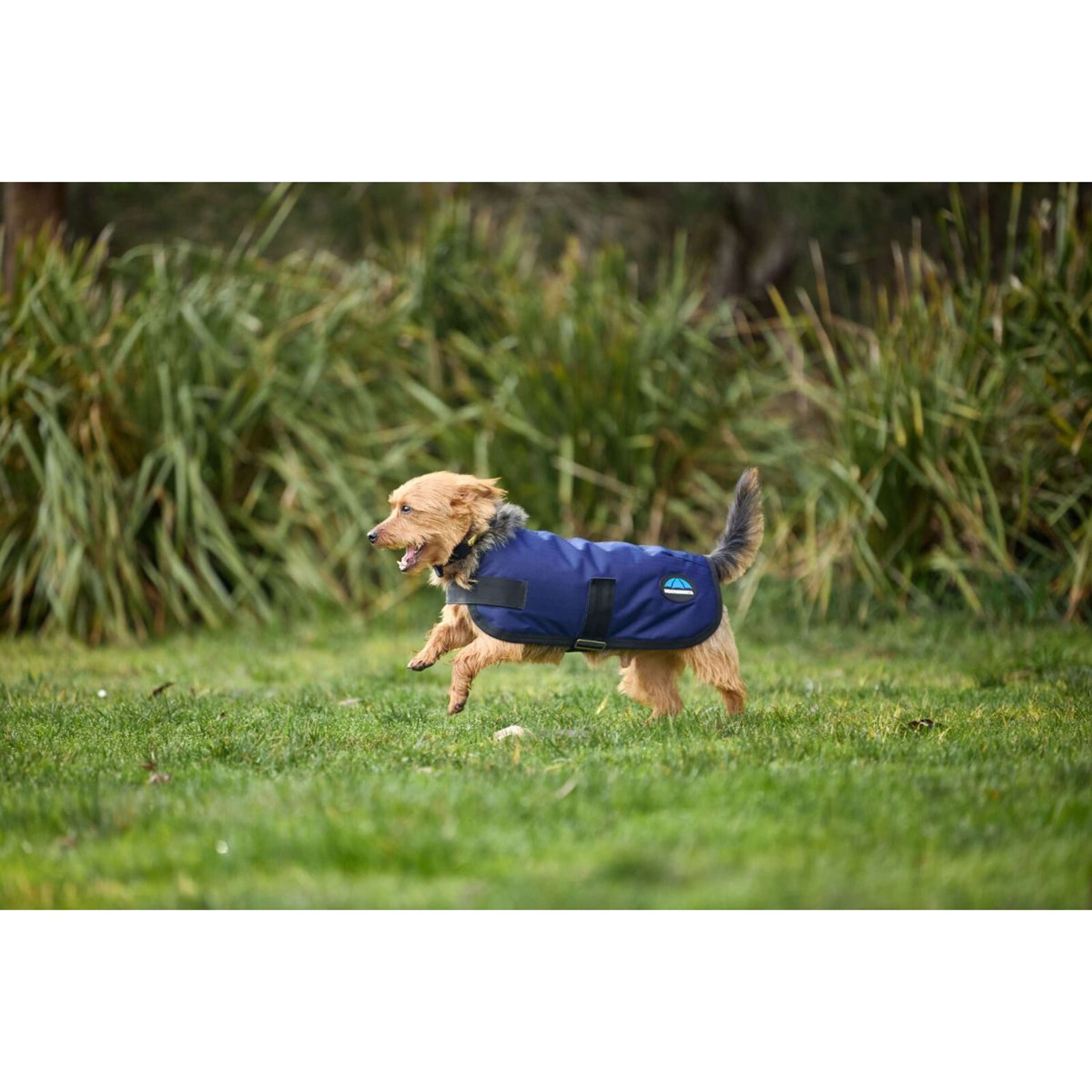 WeatherBeeta Dog Rug ComFiTec Classic Waterproof Navy