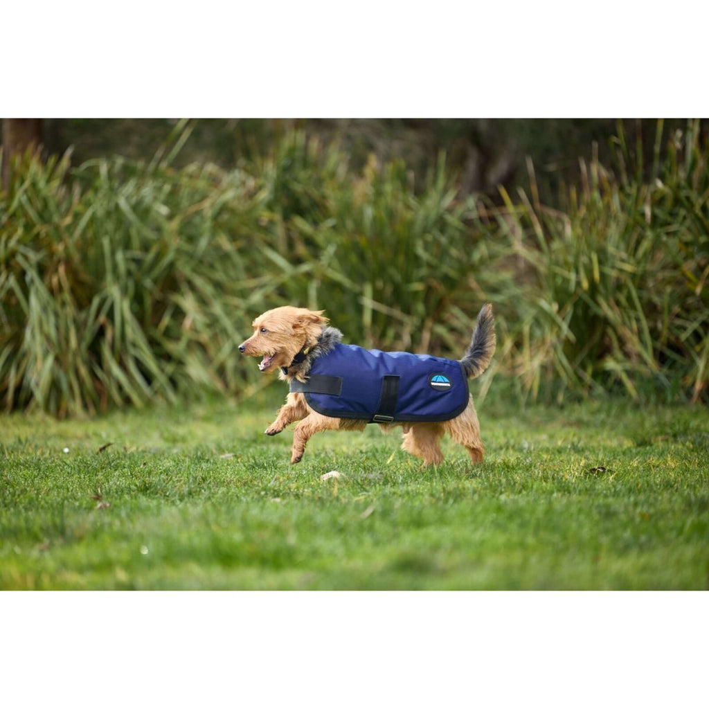WeatherBeeta Dog Rug ComFiTec Classic Waterproof Navy