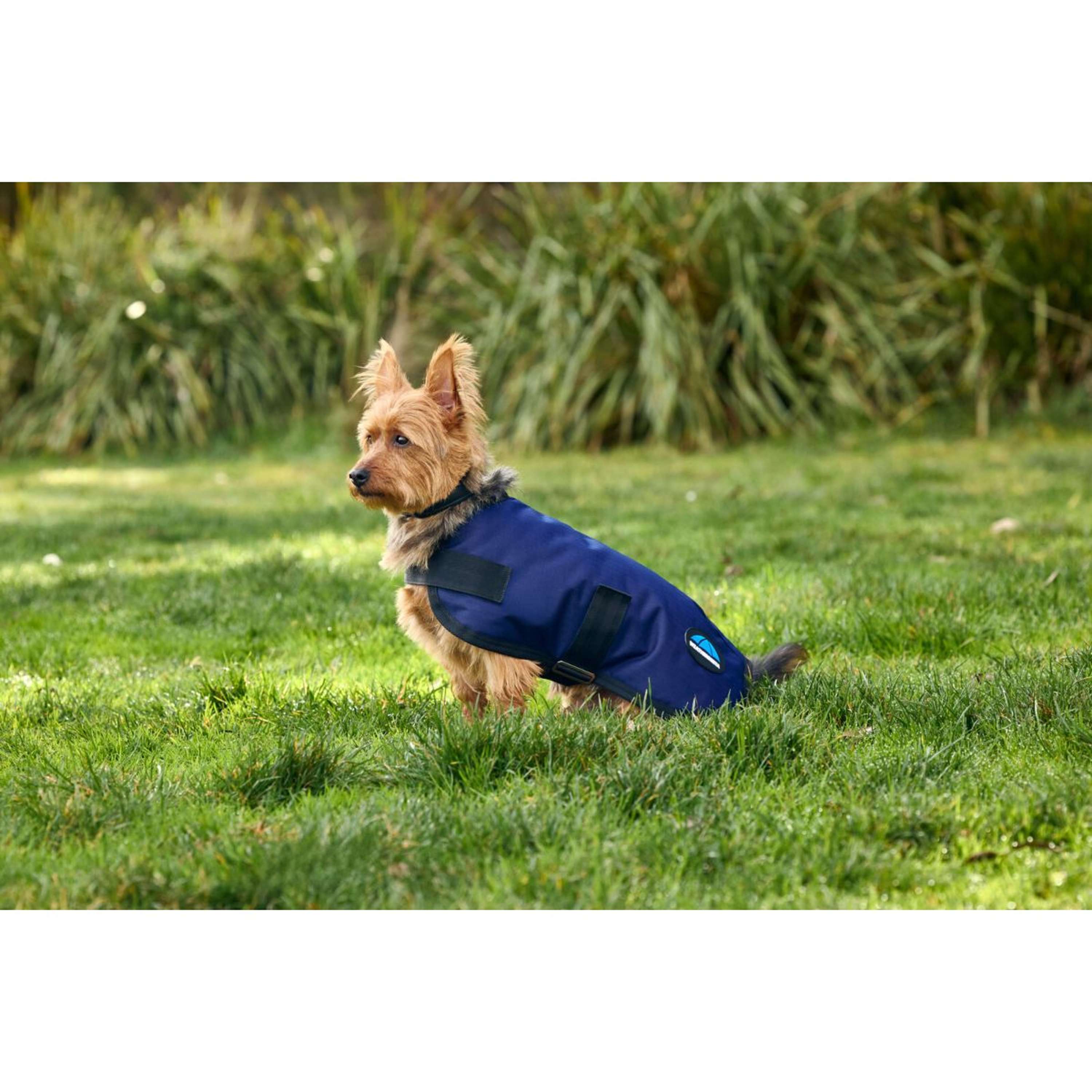 WeatherBeeta Dog Rug ComFiTec Classic Waterproof Navy