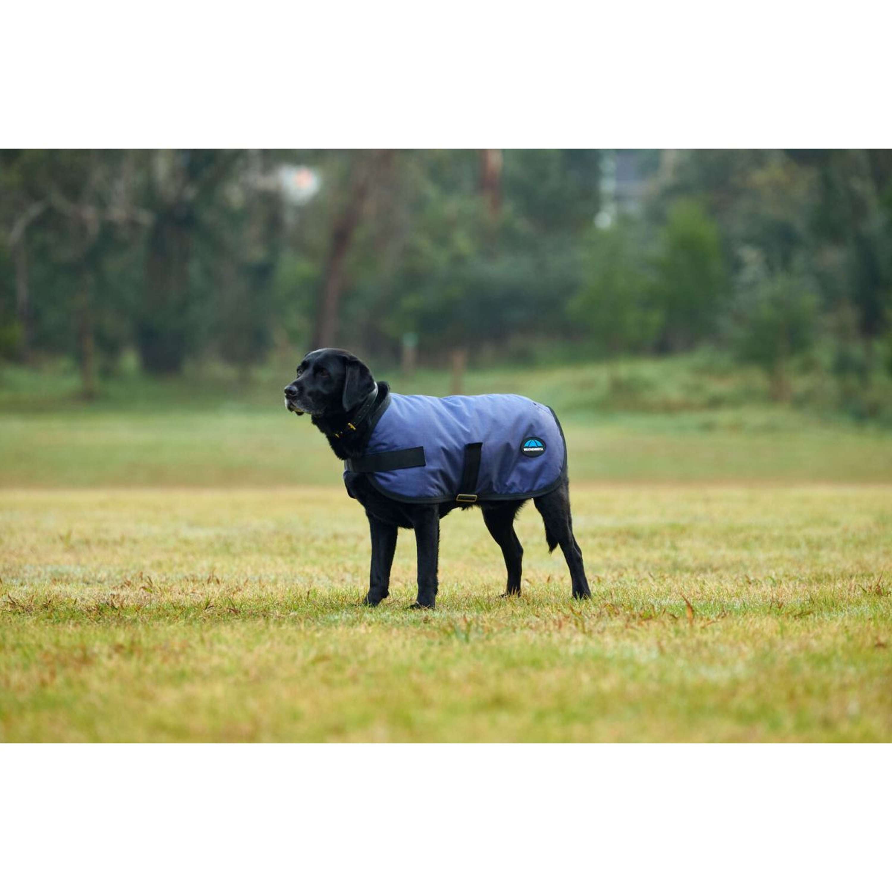 WeatherBeeta Dog Rug ComFiTec Classic Waterproof Navy