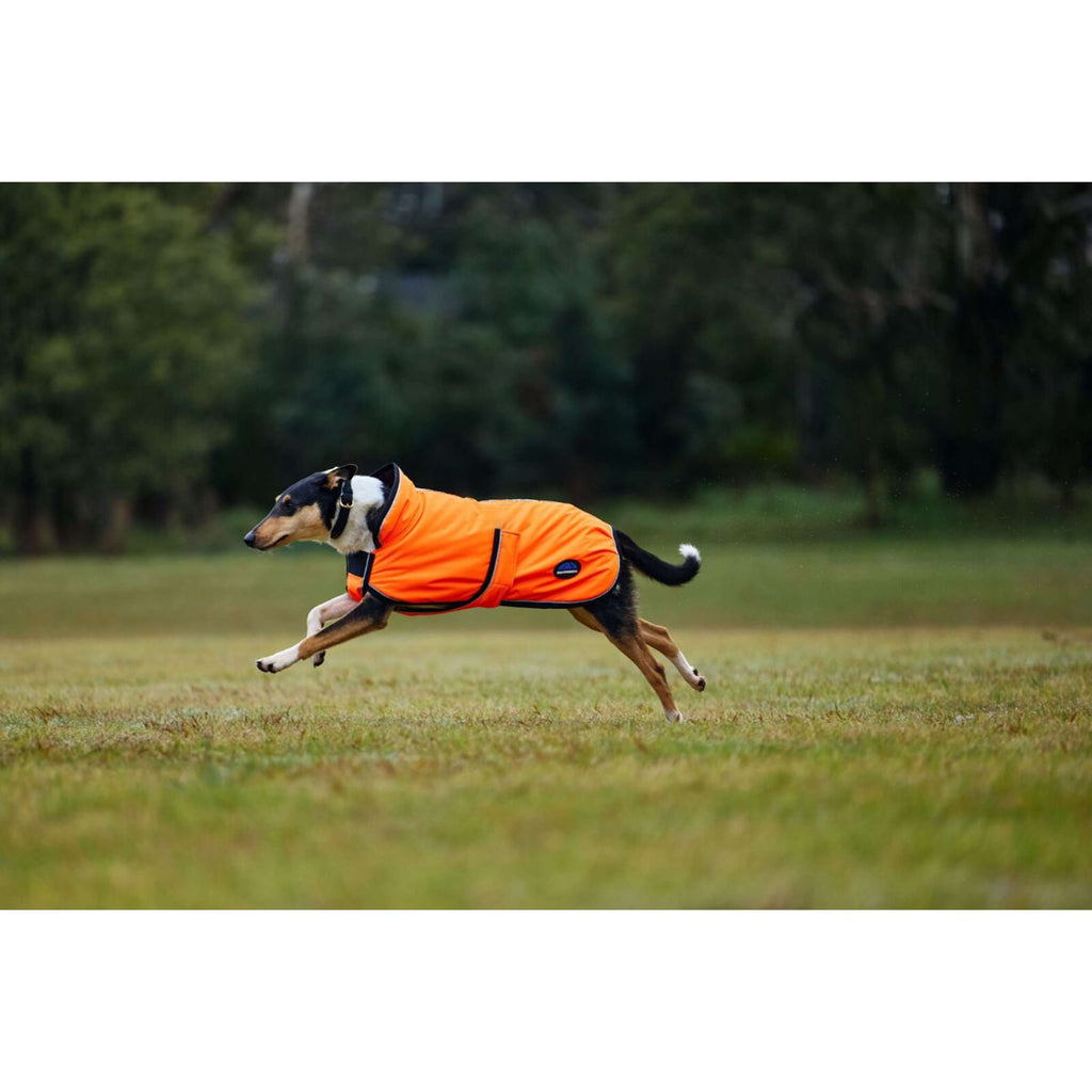 WeatherBeeta Dog Rug ComFiTec Reflective 300D Deluxe Showerproof Orange