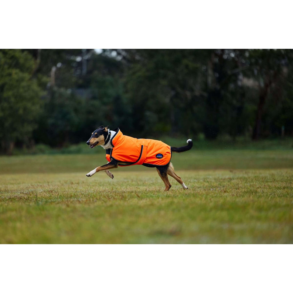 WeatherBeeta Dog Rug ComFiTec Reflective 300D Deluxe Showerproof Orange
