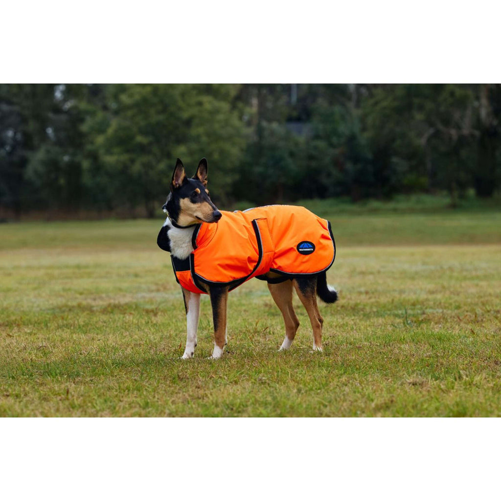 WeatherBeeta Dog Rug ComFiTec Reflective 300D Deluxe Showerproof Orange