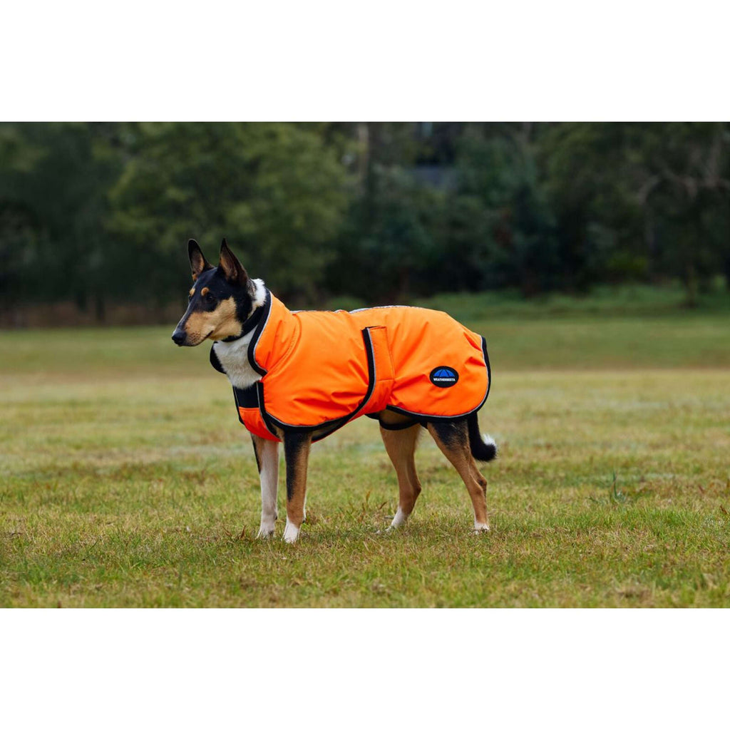 WeatherBeeta Dog Rug ComFiTec Reflective 300D Deluxe Showerproof Orange