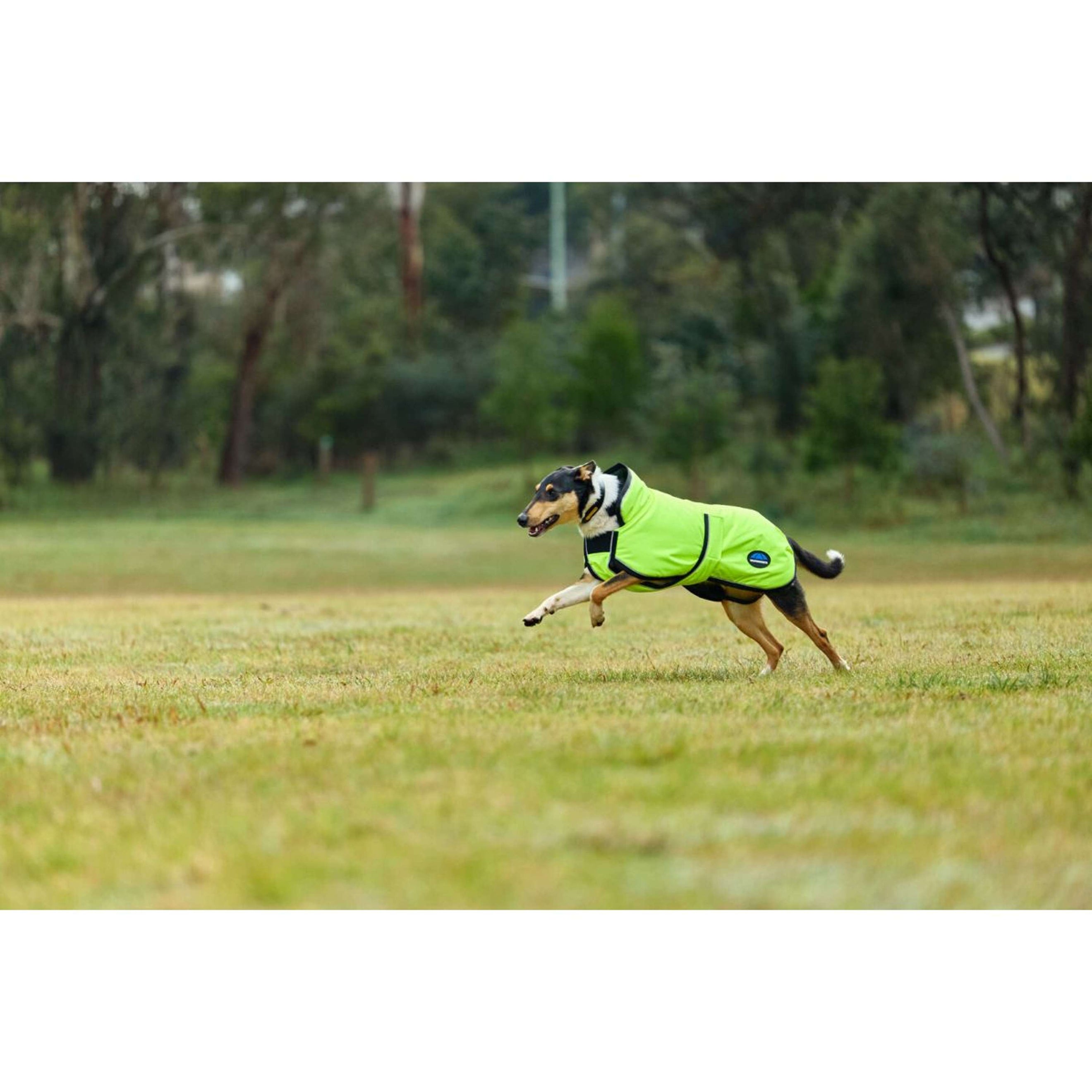 WeatherBeeta Dog Rug ComFiTec Reflective 300D Deluxe Showerproof Yellow