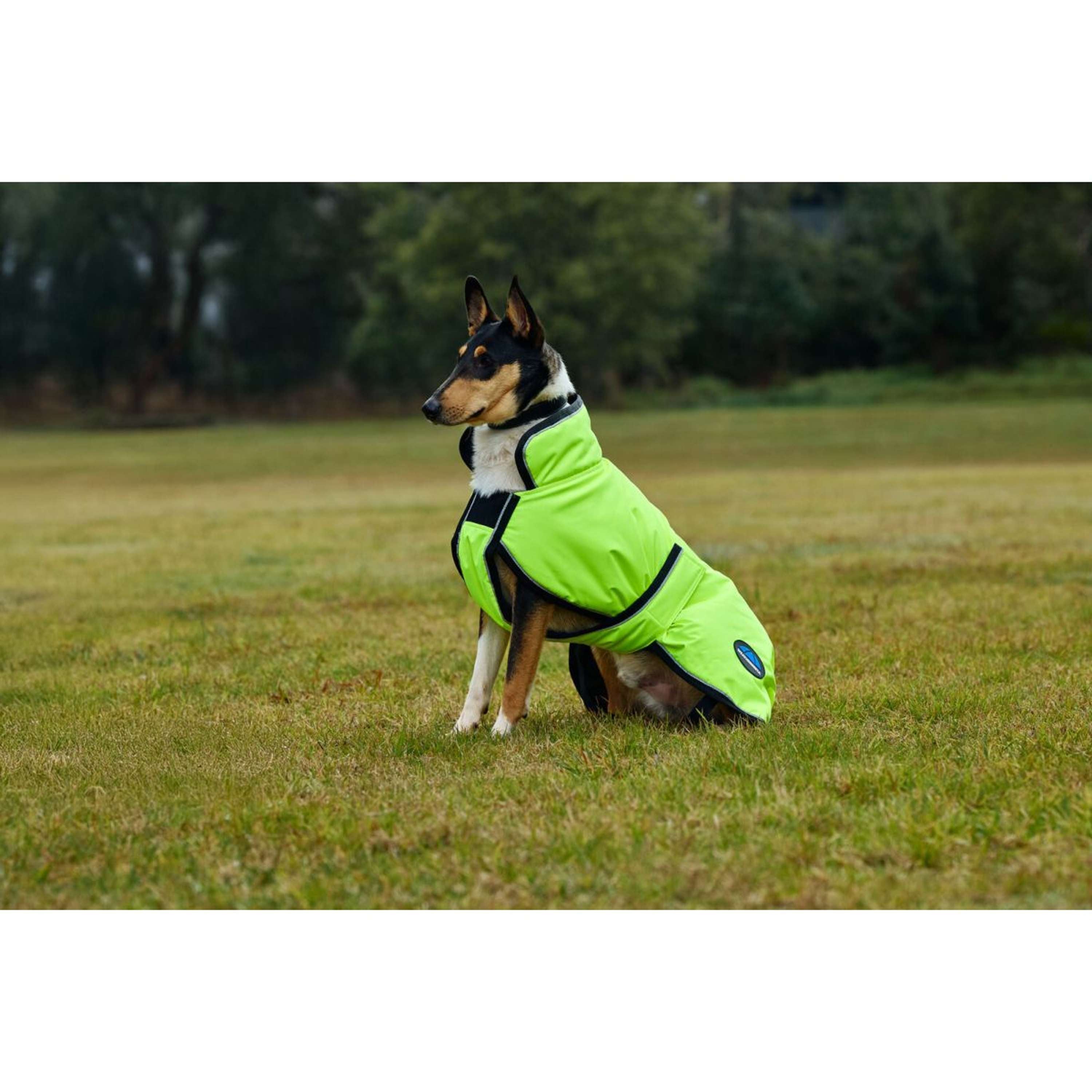 WeatherBeeta Dog Rug ComFiTec Reflective 300D Deluxe Showerproof Yellow