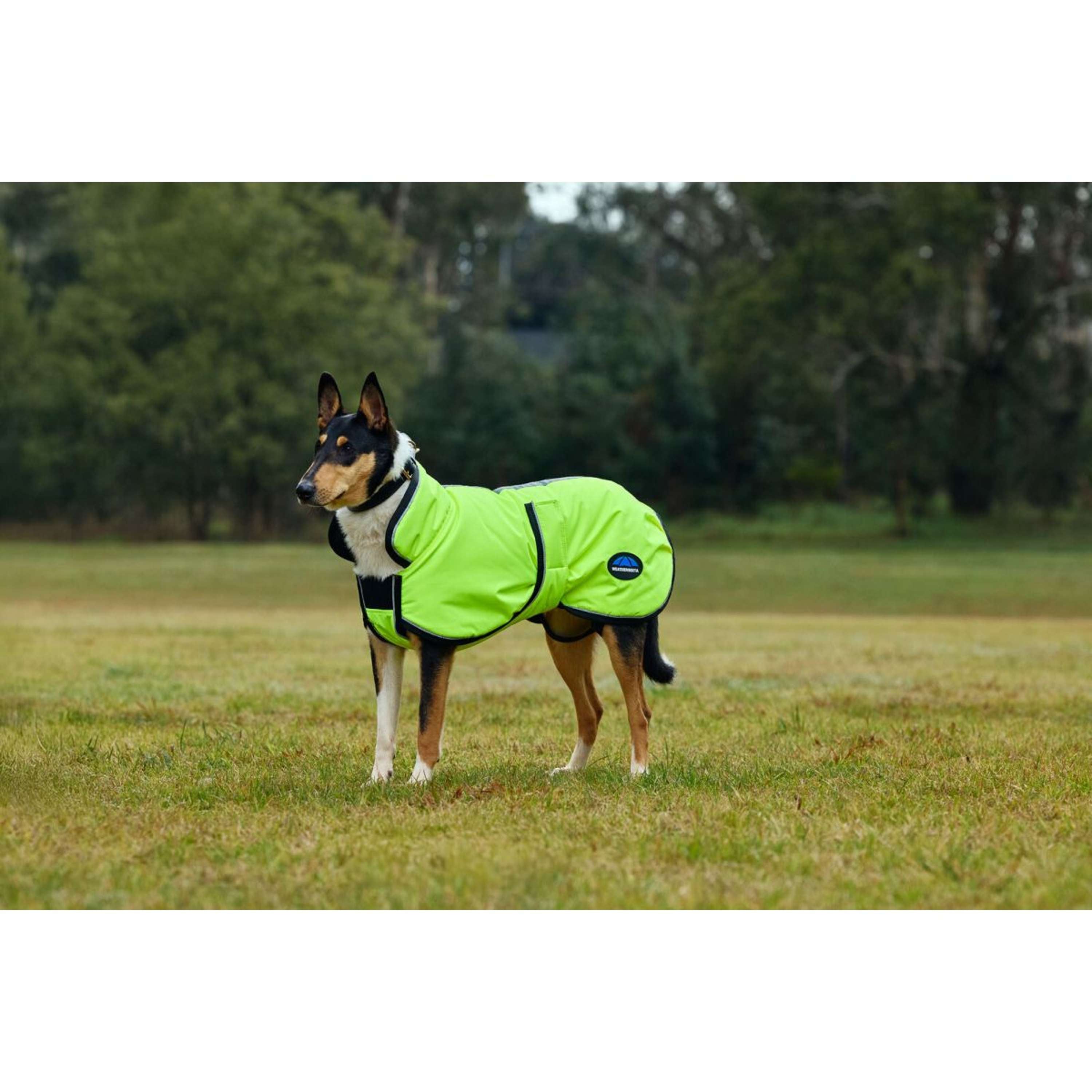 WeatherBeeta Dog Rug ComFiTec Reflective 300D Deluxe Showerproof Yellow