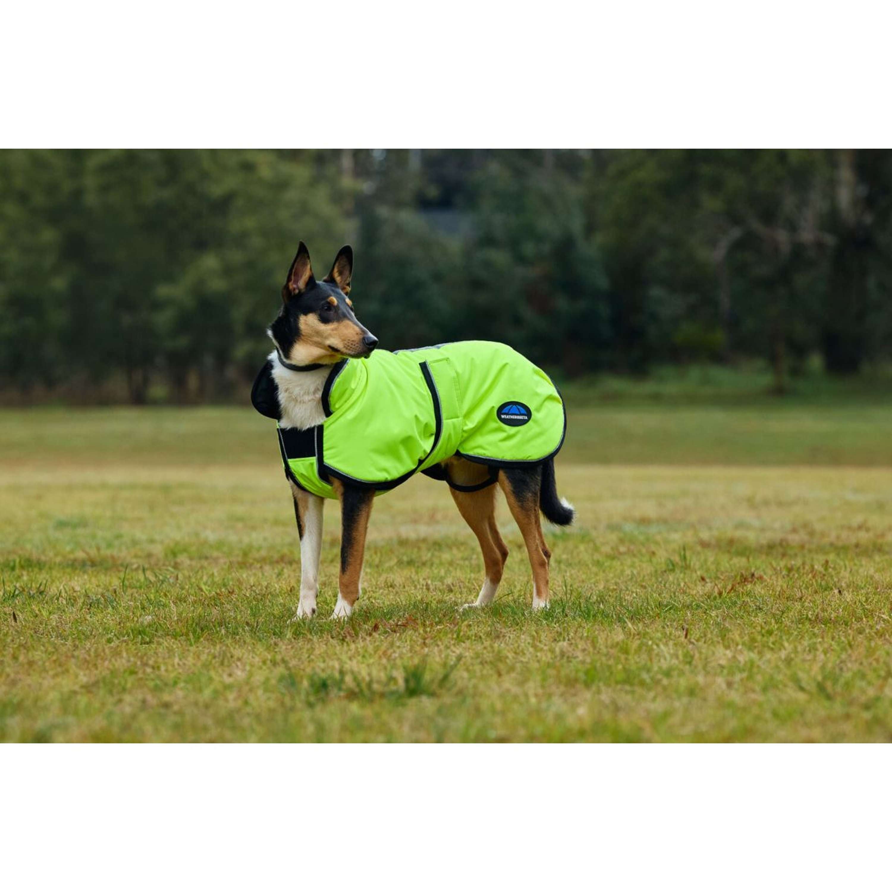 WeatherBeeta Dog Rug ComFiTec Reflective 300D Deluxe Showerproof Yellow