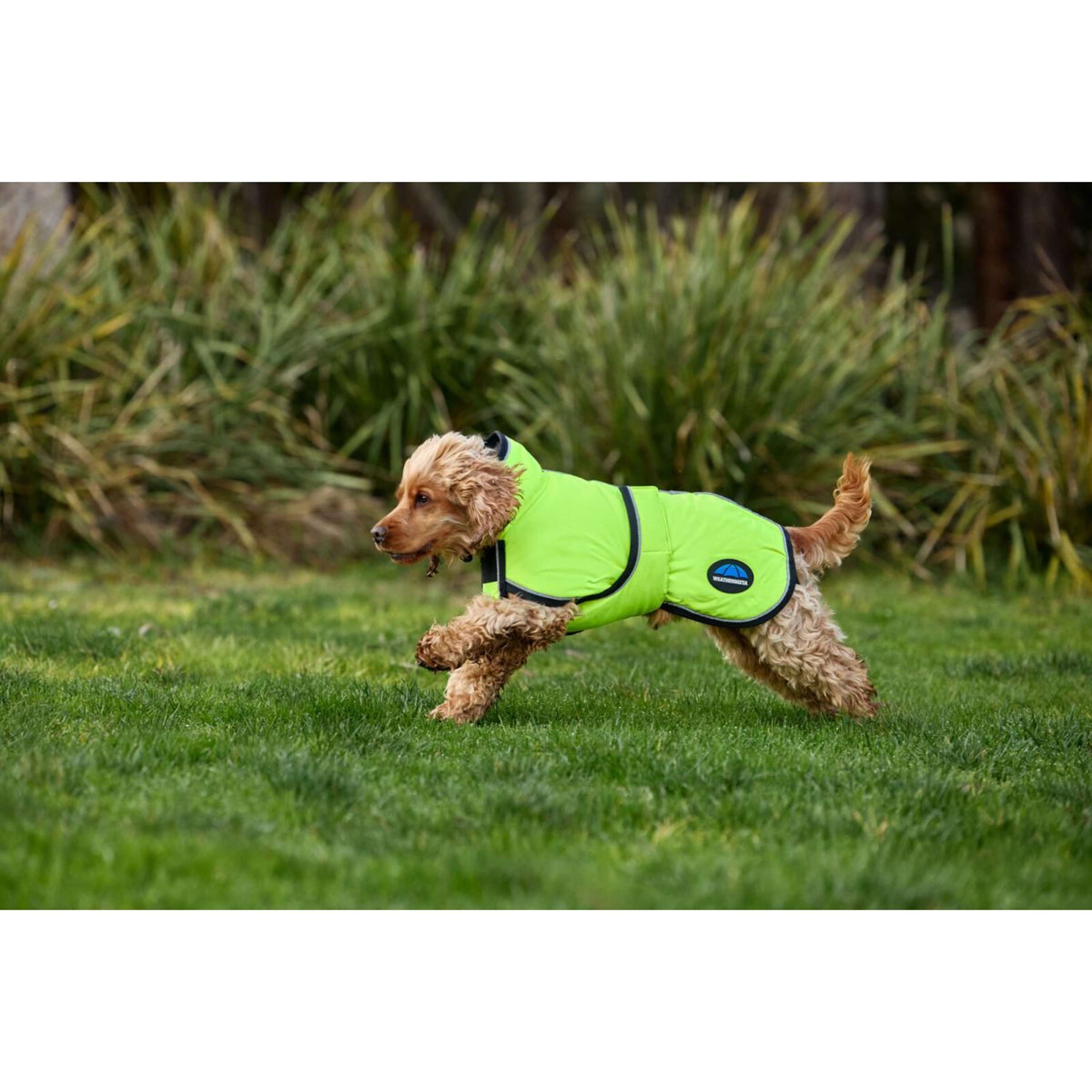 WeatherBeeta Dog Rug ComFiTec Reflective 300D Deluxe Showerproof Yellow