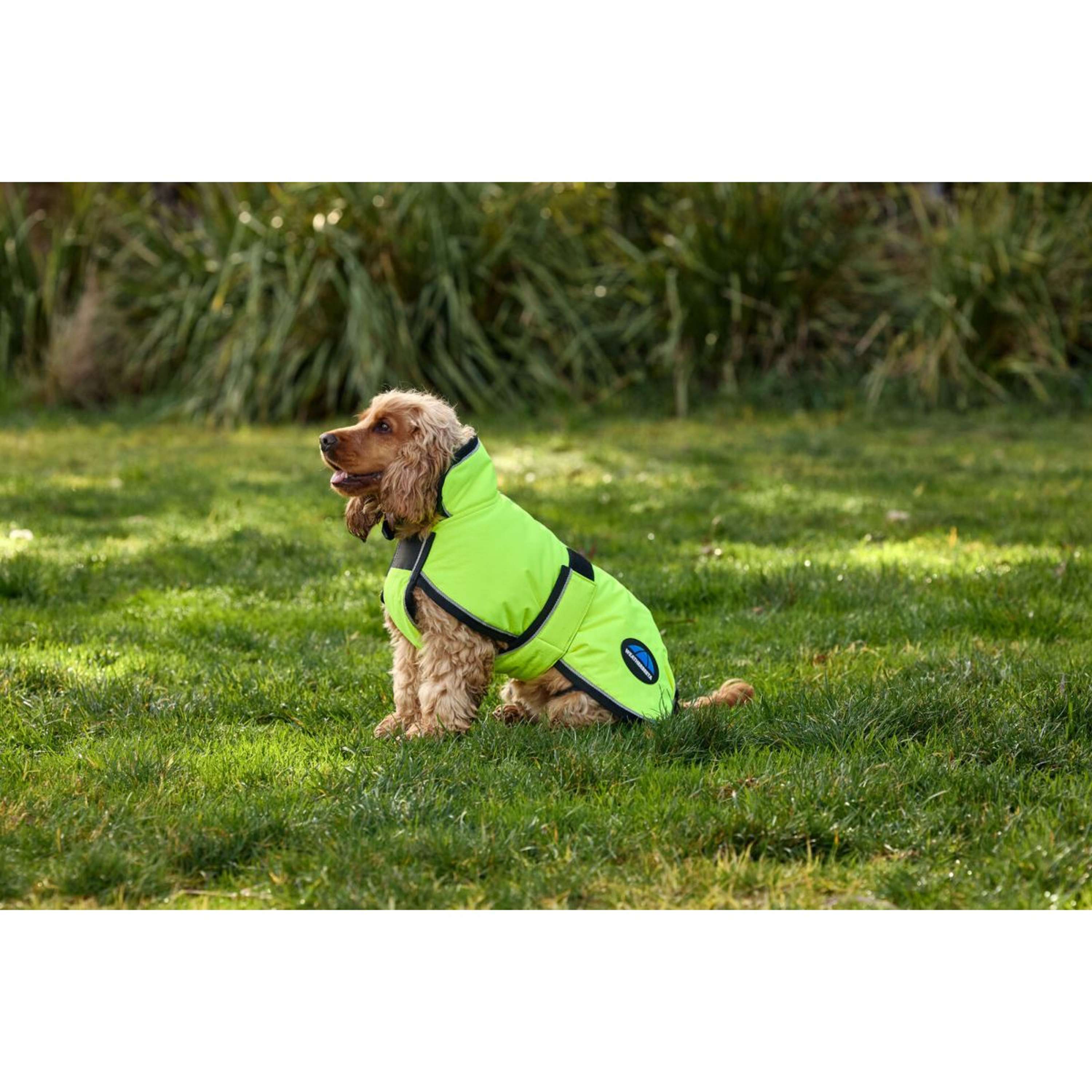 WeatherBeeta Dog Rug ComFiTec Reflective 300D Deluxe Showerproof Yellow