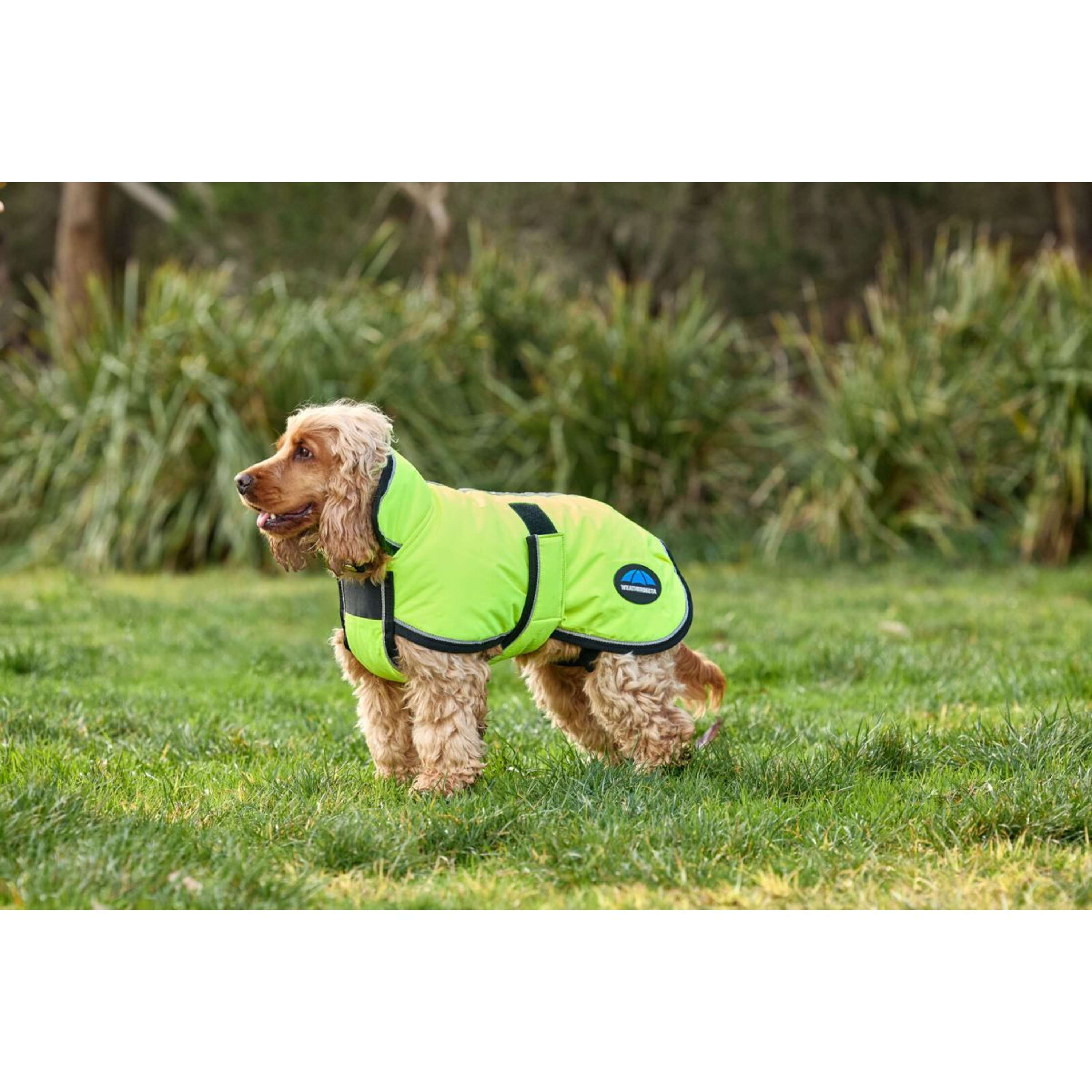 WeatherBeeta Dog Rug ComFiTec Reflective 300D Deluxe Showerproof Yellow