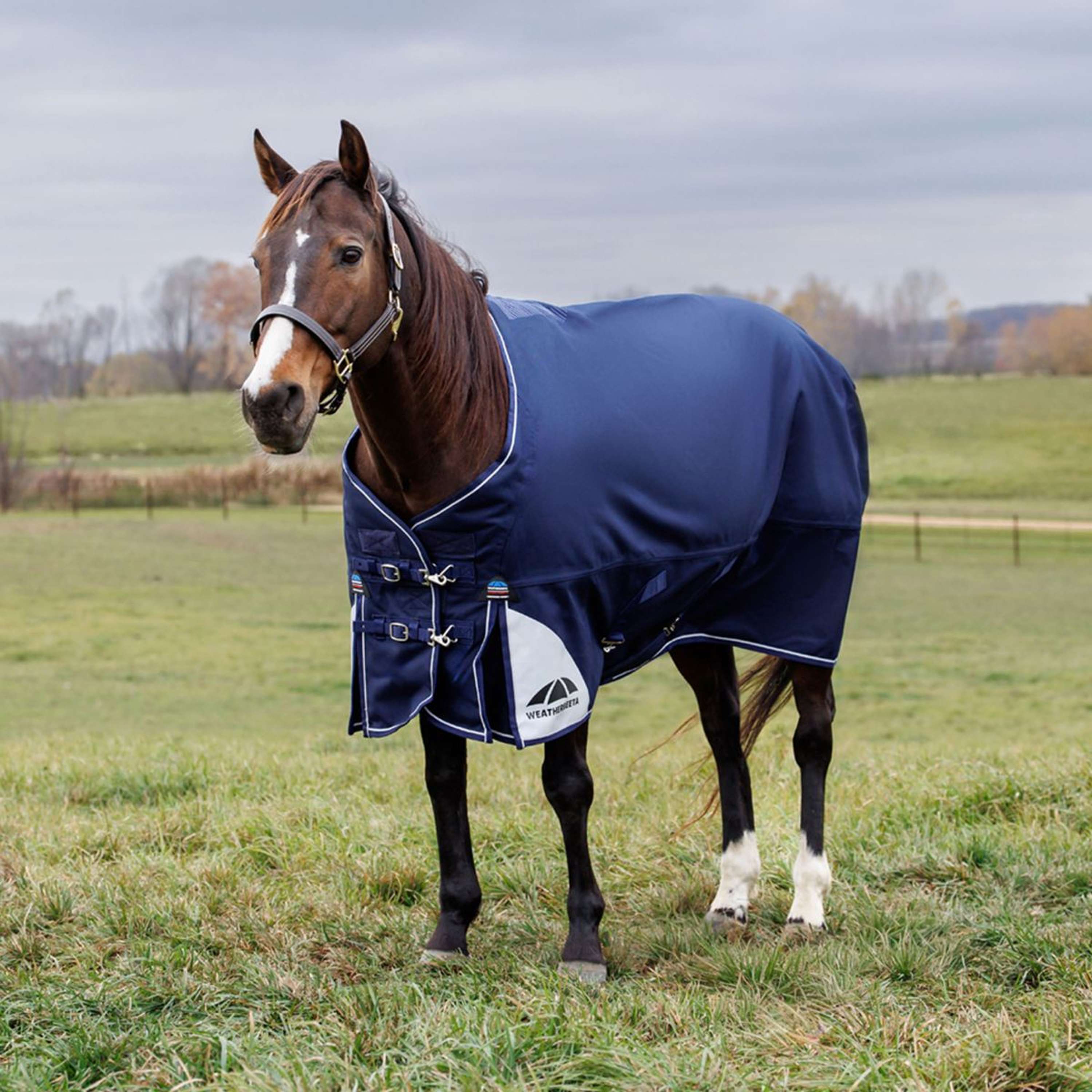WeatherBeeta ComFiTec Ultra Turnout Standard Neck 220g Navy