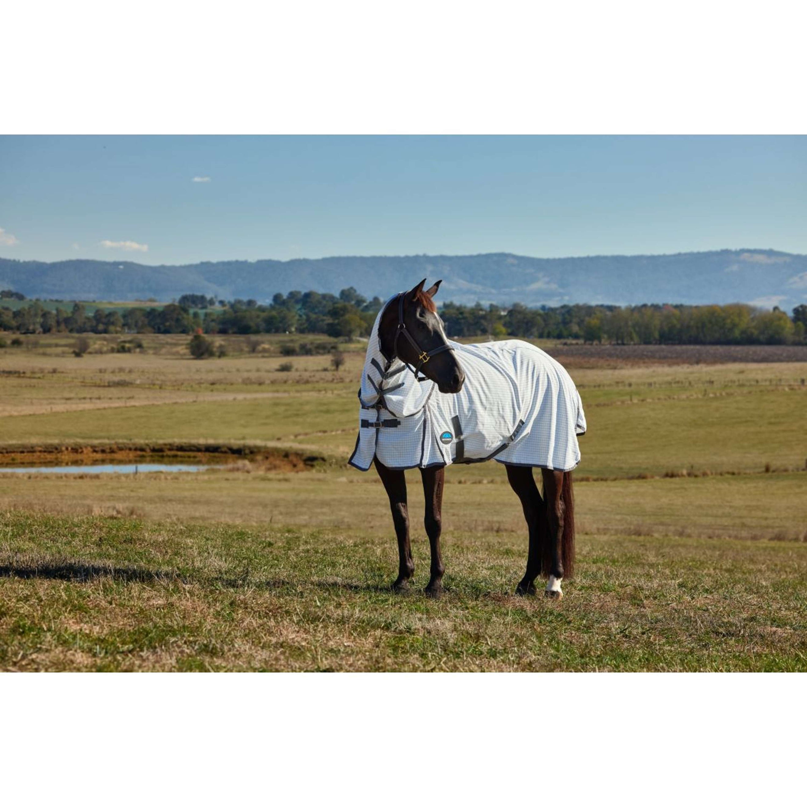 WeatherBeeta Summer Rug Hybrid Combo White/Charcoal