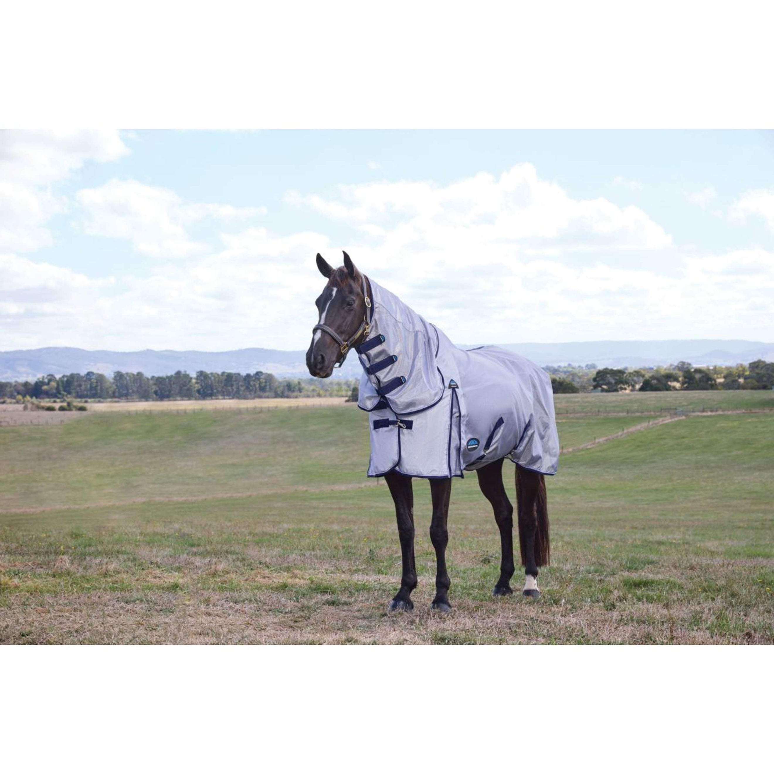 WeatherBeeta Fly Rug ComFiTec Hexi Combo Silver/Navy/White
