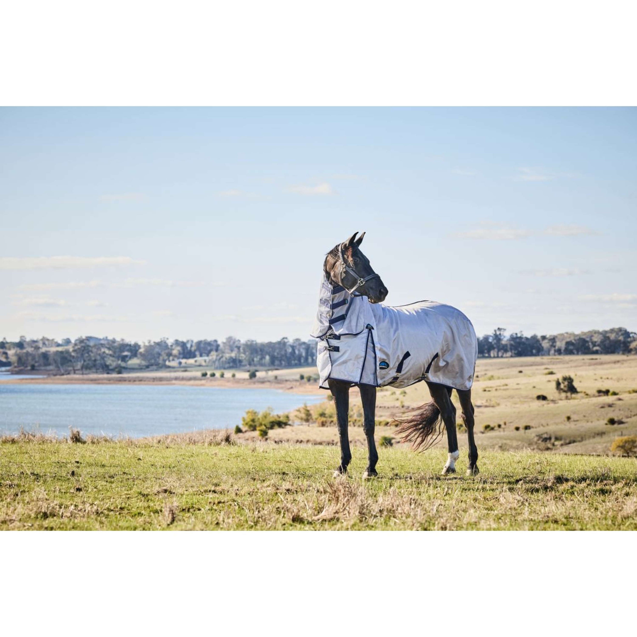 WeatherBeeta Fly Rug ComFiTec Hexi Combo Silver/Navy/White