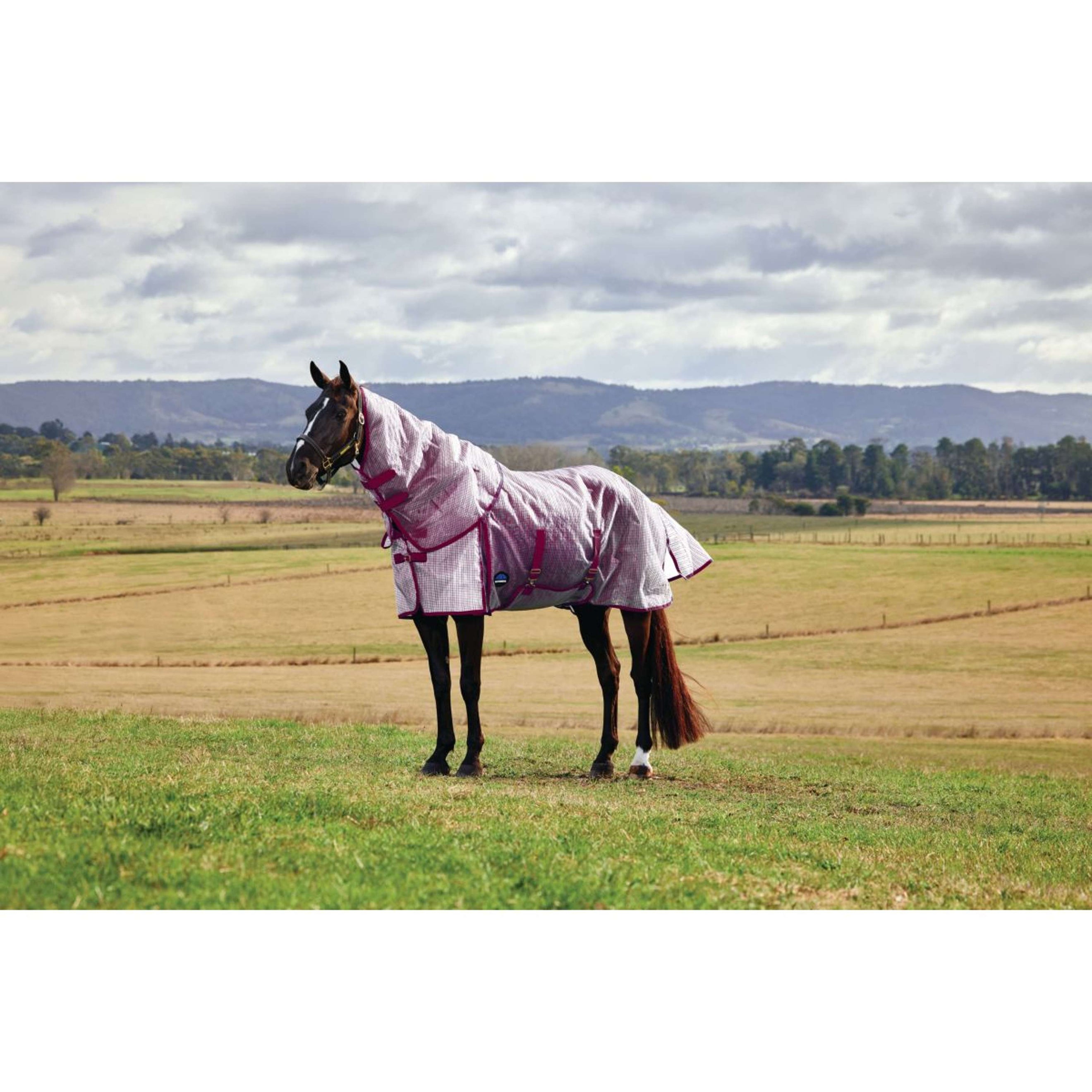 WeatherBeeta Fly Rug ComFiTec Ripshield Detach-A-Neck White/Burgundy WeatherBeeta Fly Rug ComFiTec Ripshield Detach-A-Neck White/Burgundy