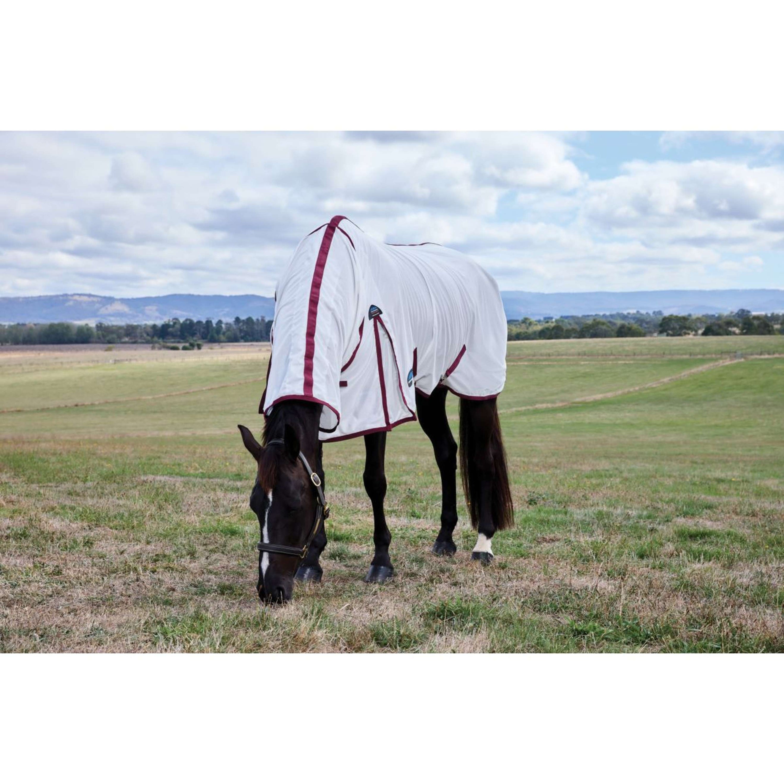 WeatherBeeta Fly Rug ComFiTec Essential Combo White/Burgundy