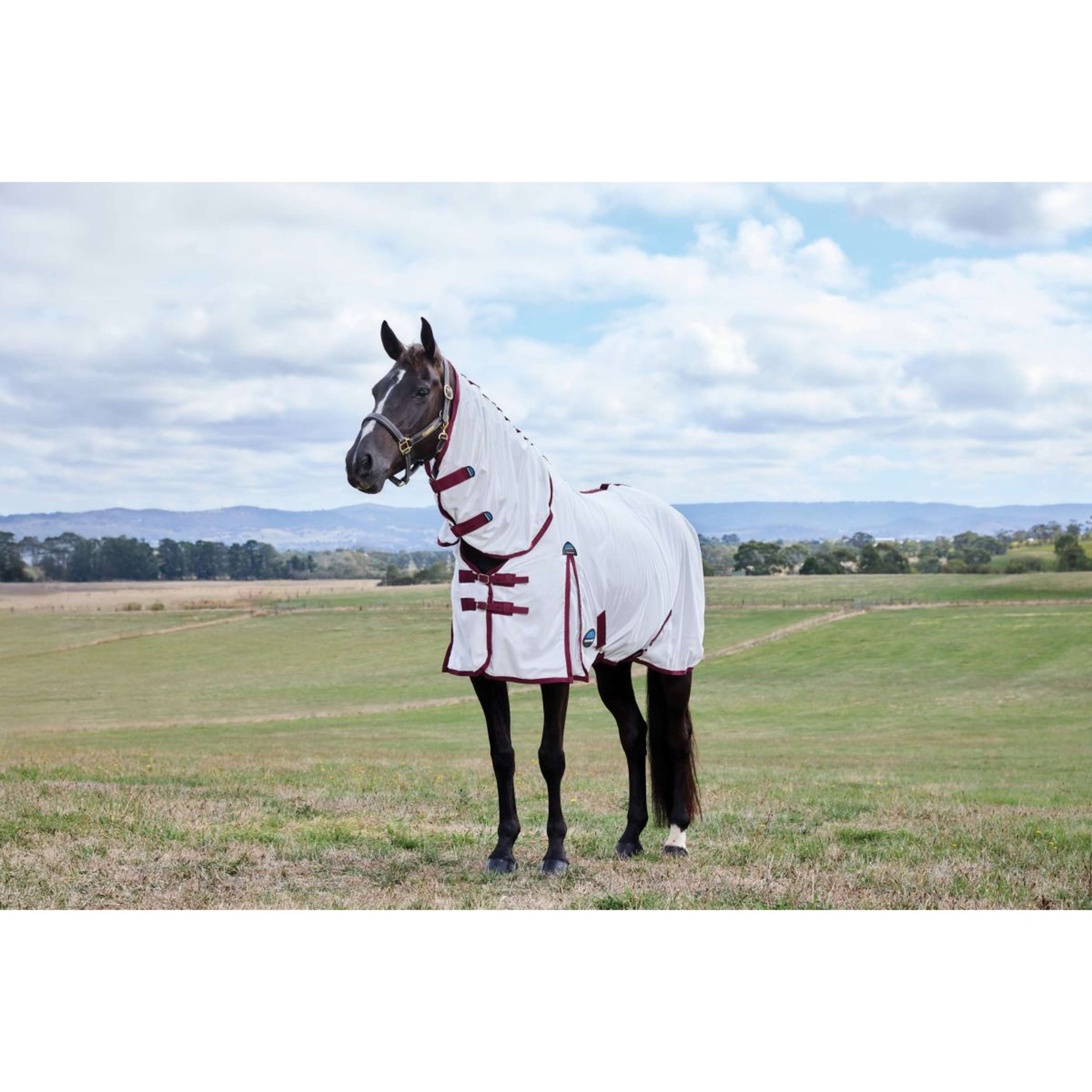 WeatherBeeta Fly Rug ComFiTec Essential Combo White/Burgundy