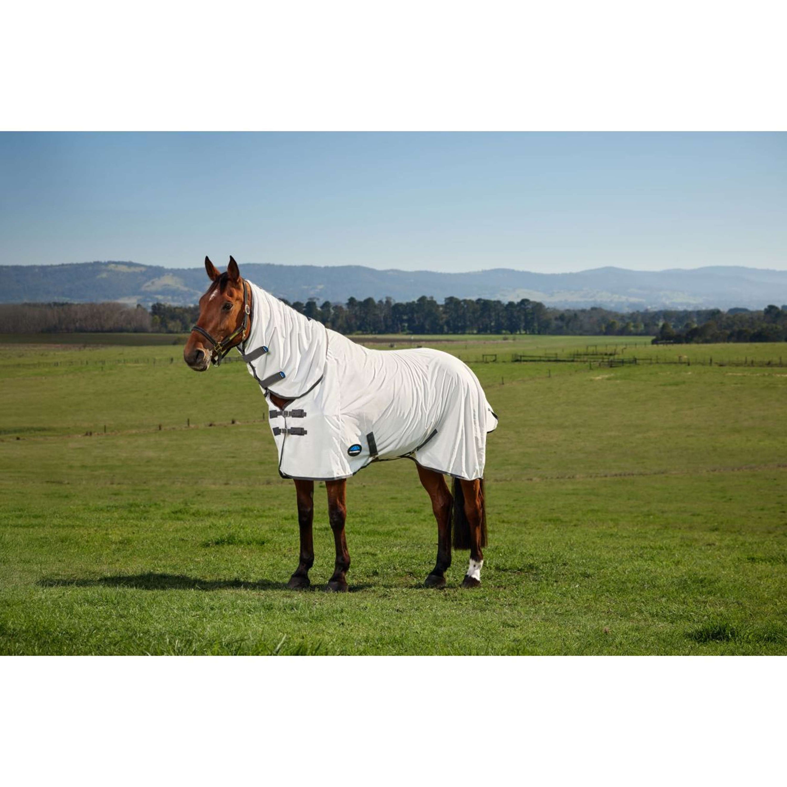 WeatherBeeta Fly Rug ComFiTec Tyro Combo White/Charcoal