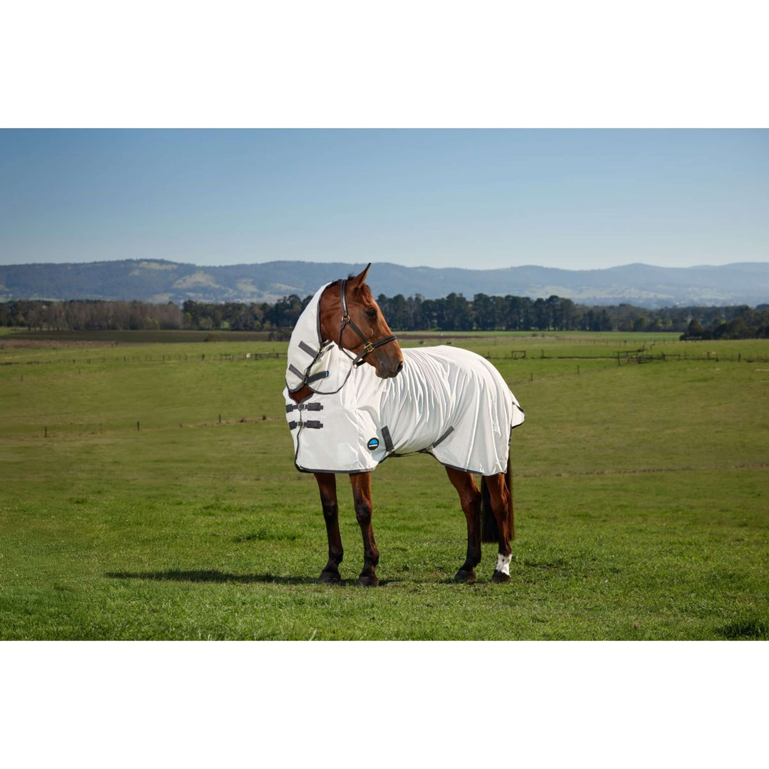 WeatherBeeta Fly Rug ComFiTec Tyro Combo White/Charcoal WeatherBeeta Fly Rug ComFiTec Tyro Combo White/Charcoal