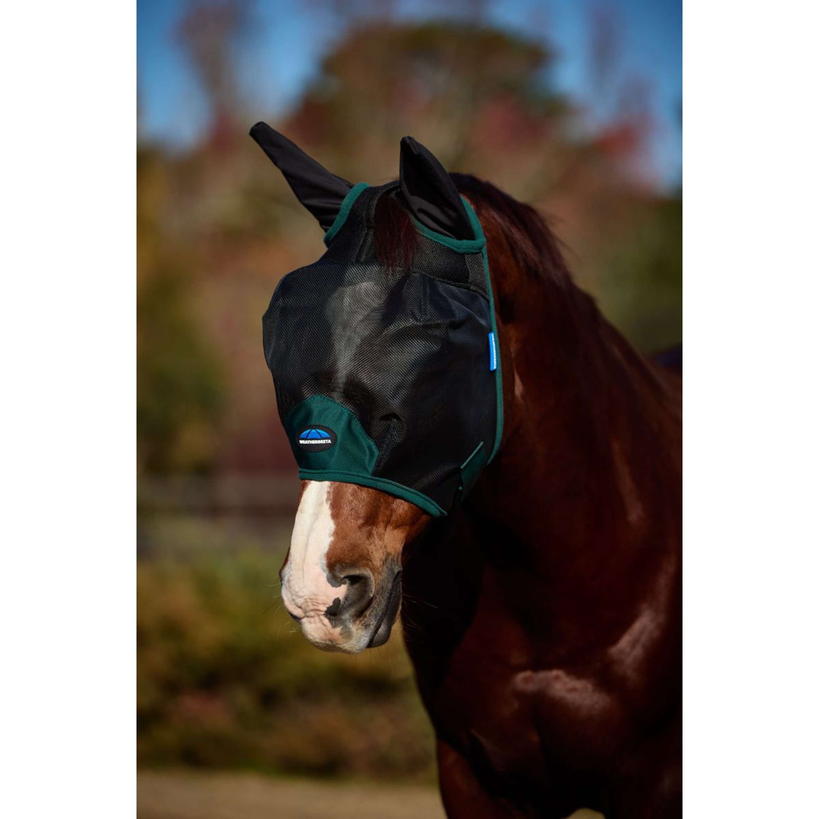 WeatherBeeta Fly Mask ComFiTec Durable with Ears Black/Forest Green