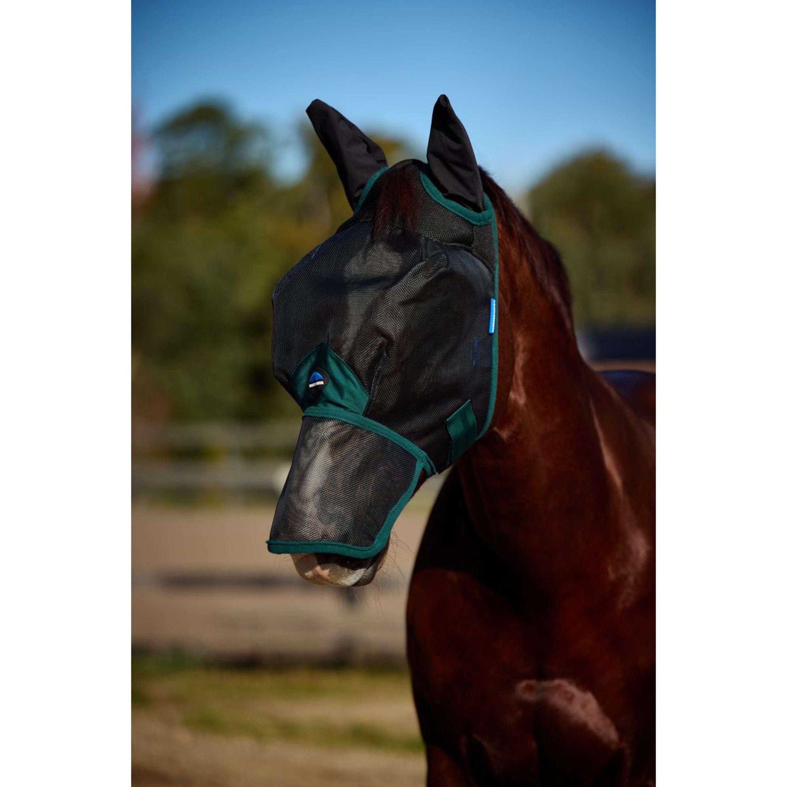 WeatherBeeta Fly Mask ComFiTec Durable with Ears and Nose Black/Forest Green