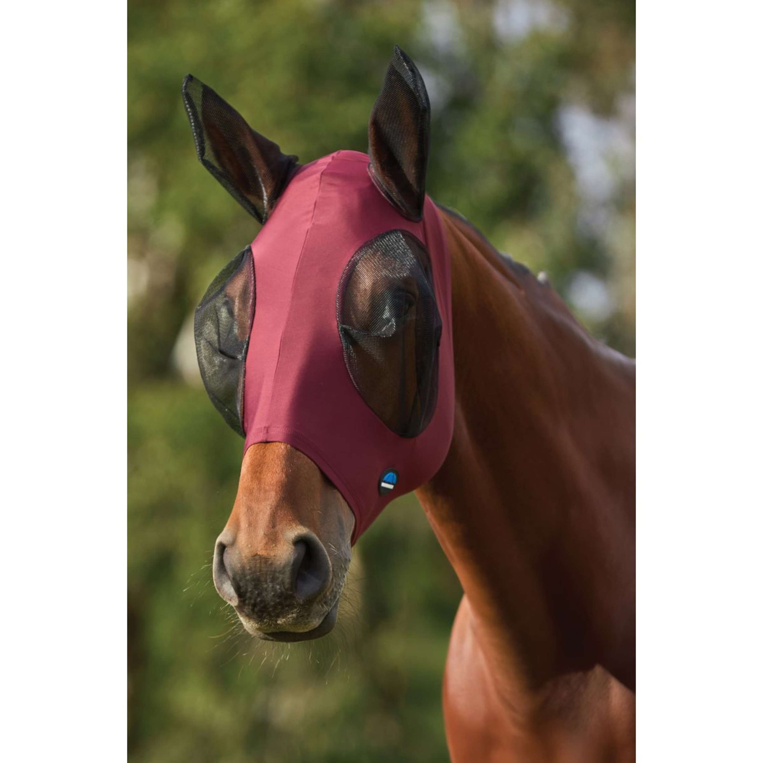 WeatherBeeta Fly Mask ComFiTec Stretch with Ears Burgundy/black WeatherBeeta Fly Mask ComFiTec Stretch with Ears Burgundy/black