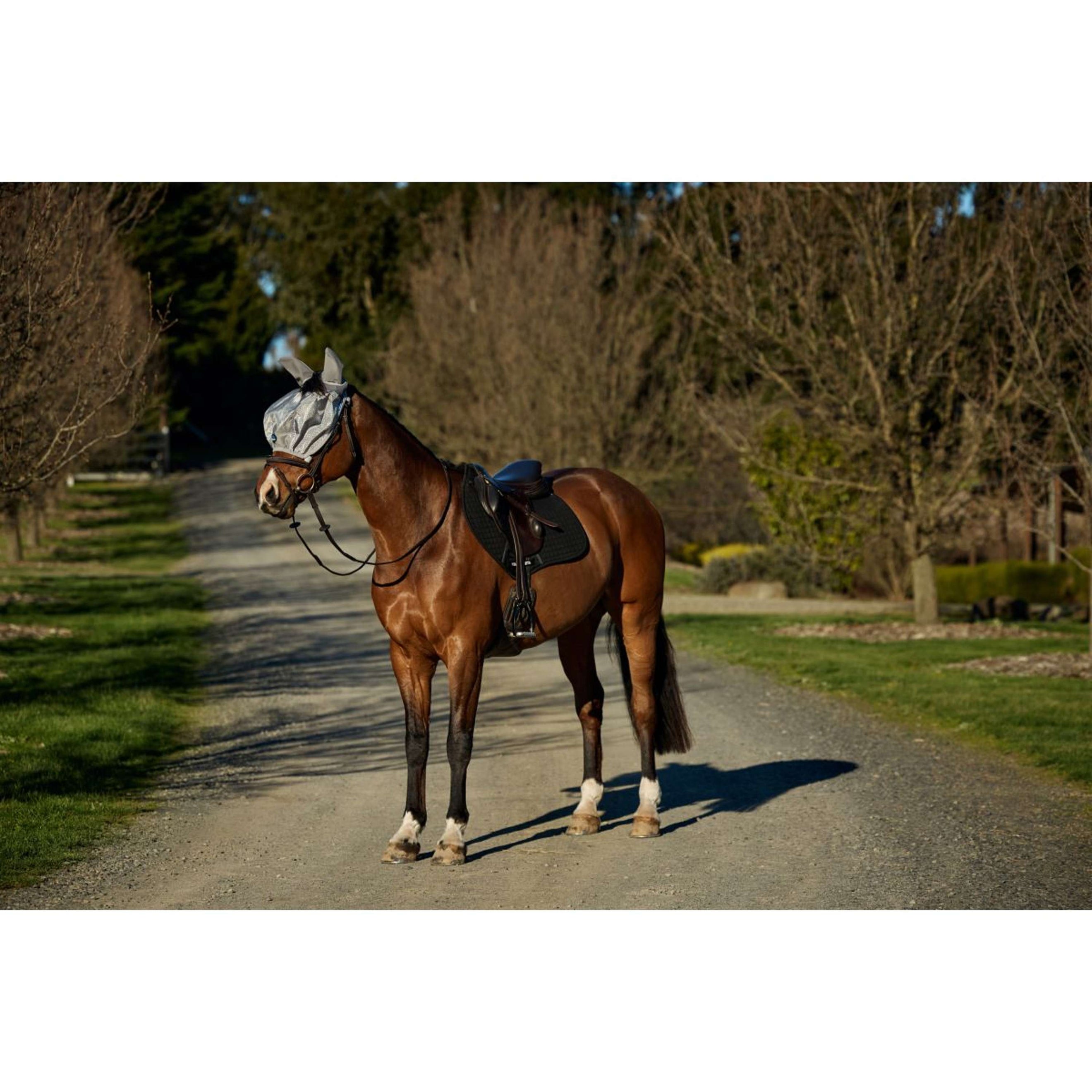 WeatherBeeta Fly Mask ComFiTec Hexi Ride On Fly with Ears Silver WeatherBeeta Fly Mask ComFiTec Hexi Ride On Fly with Ears Silver