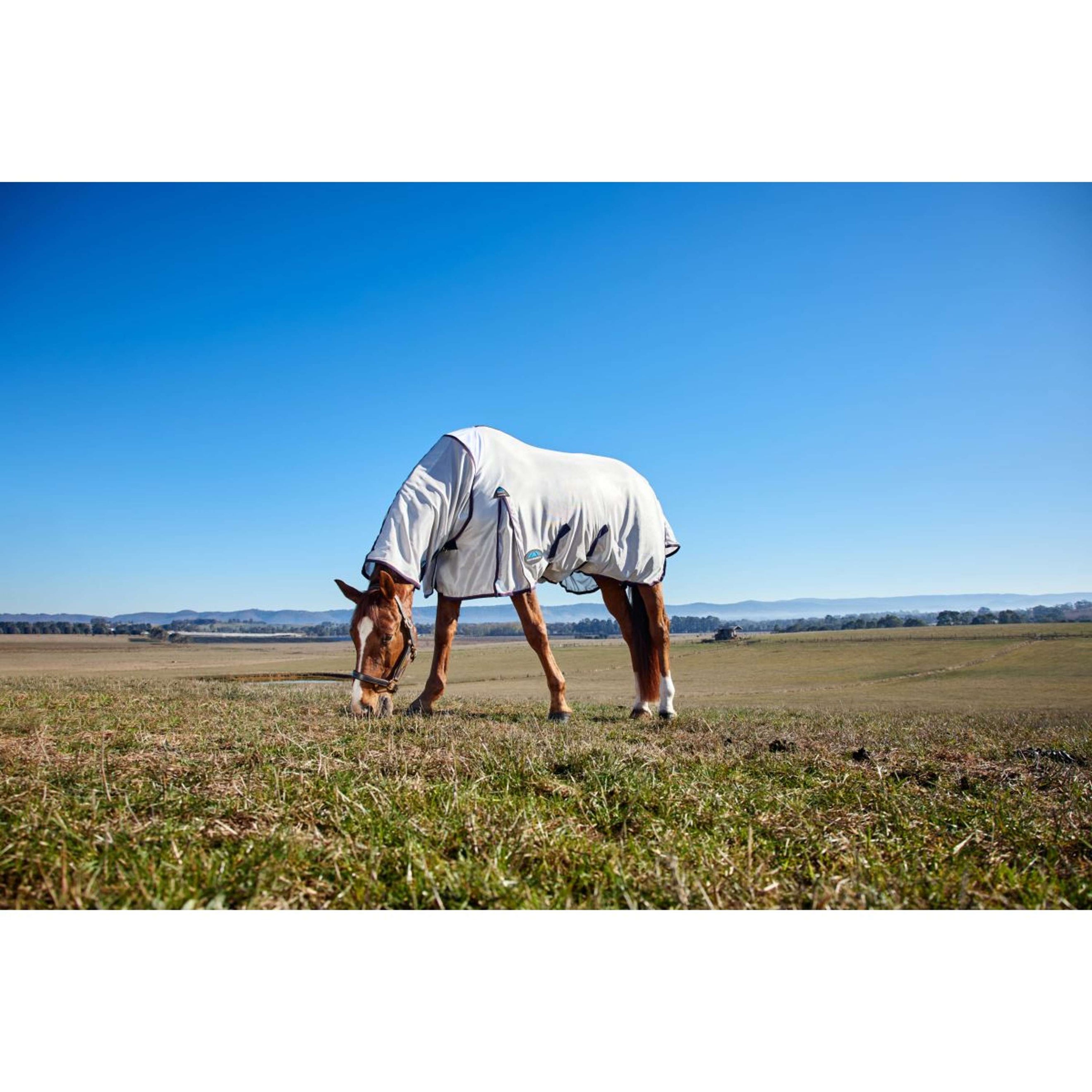 WeatherBeeta Fly Rug ComFiTec Airflow Detach-A-Neck Grey/Navy/Burgundy