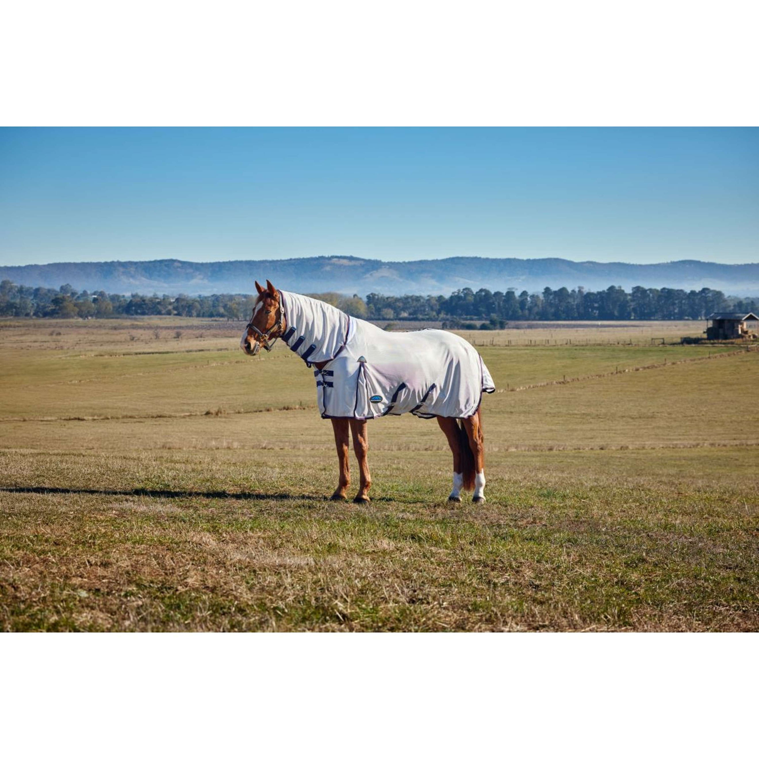 WeatherBeeta Fly Rug ComFiTec Airflow Detach-A-Neck Grey/Navy/Burgundy