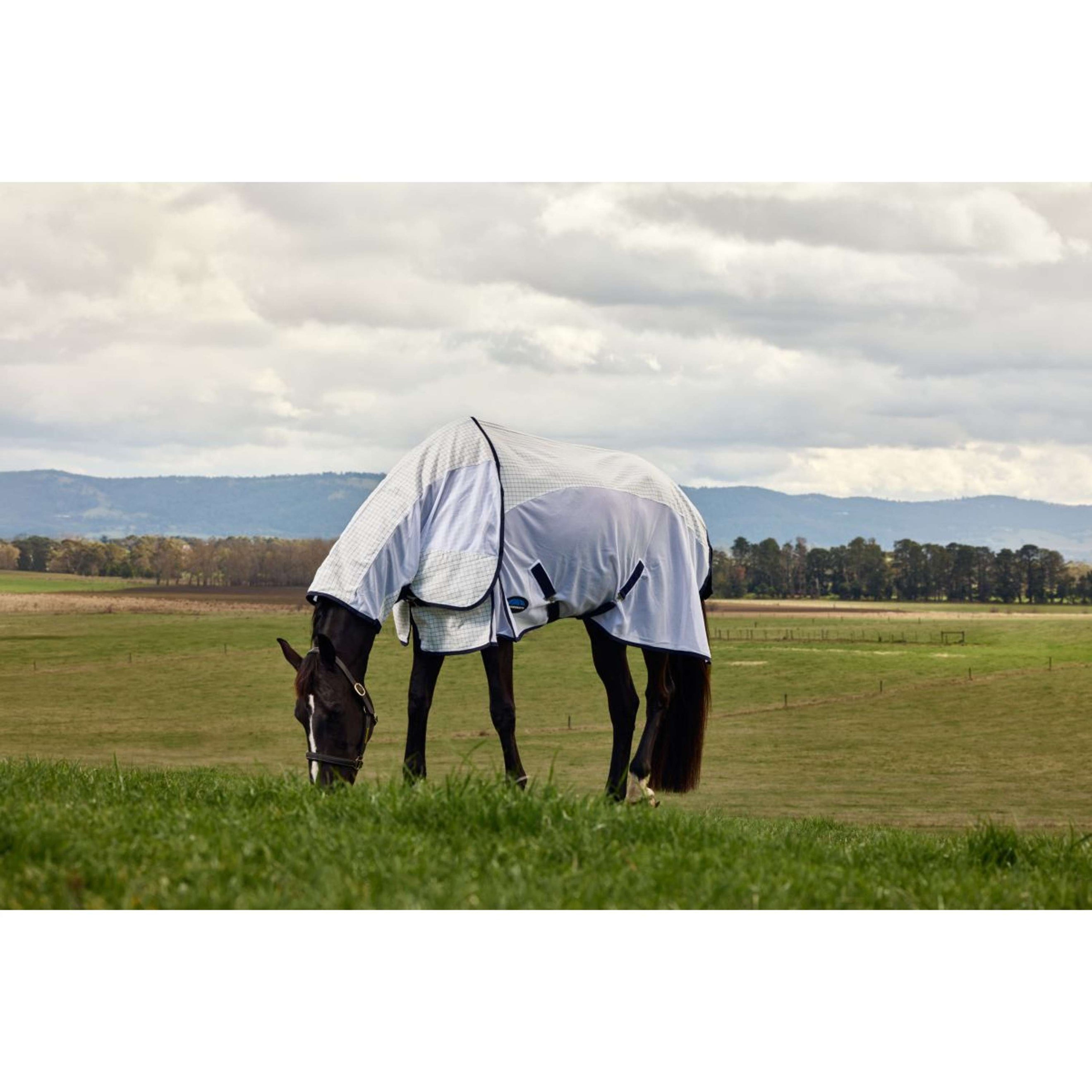 WeatherBeeta Summer Rug Airstream Combo White/Navy WeatherBeeta Summer Rug Airstream Combo White/Navy