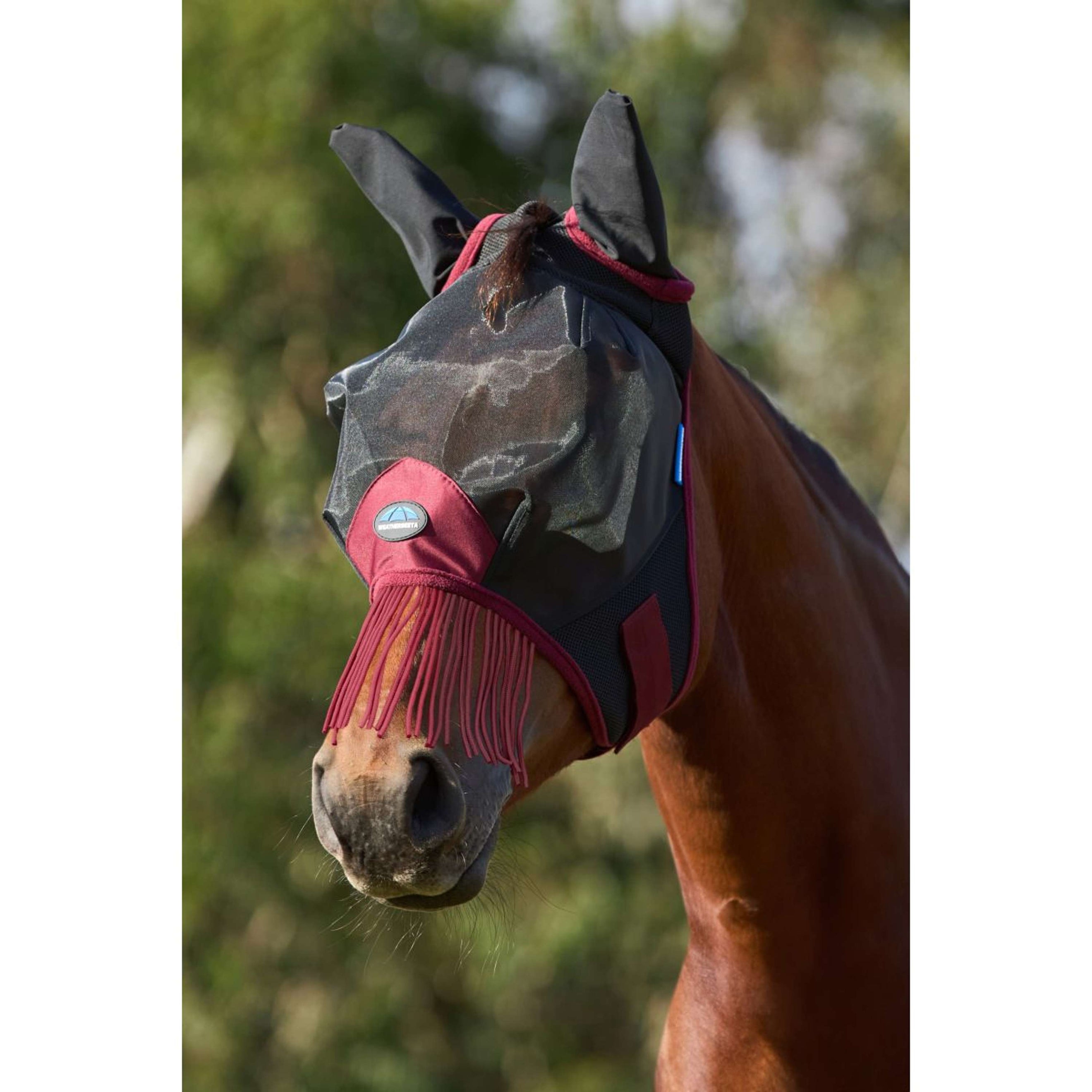 WeatherBeeta Fly Mask ComFiTec Fine with Ears and Tassels Black/Burgundy WeatherBeeta Fly Mask ComFiTec Fine with Ears and Tassels Black/Burgundy