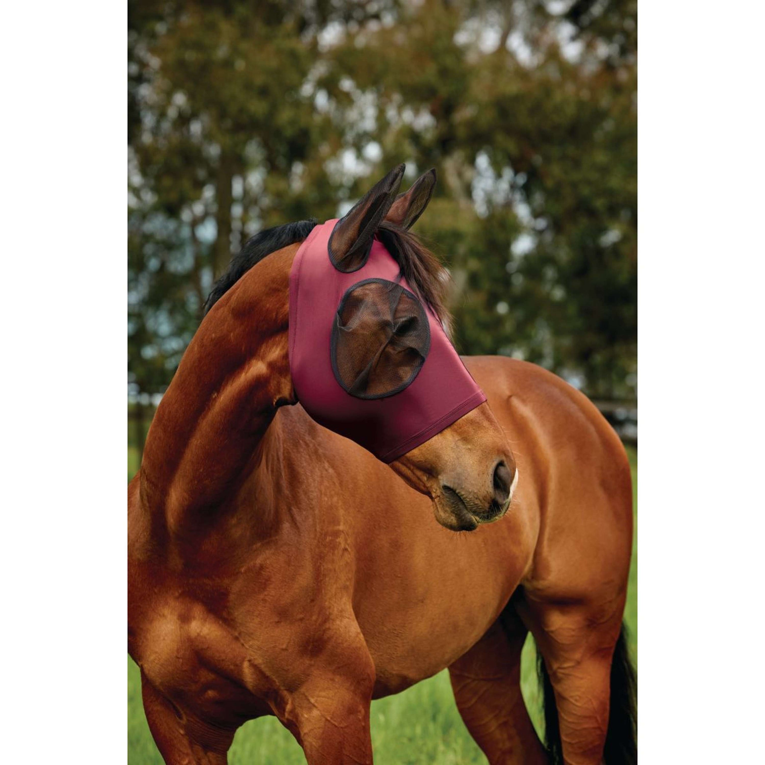 WeatherBeeta Fly Mask ComFiTec Deluxe Stretch with Ears Burgundy/black WeatherBeeta Fly Mask ComFiTec Deluxe Stretch with Ears Burgundy/black