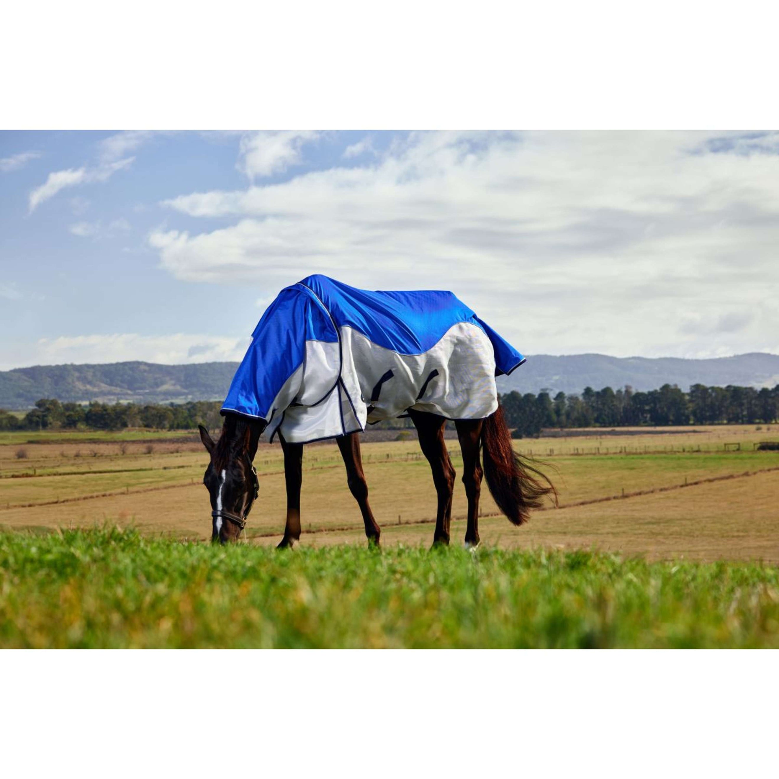 WeatherBeeta ComFiTec Duo Shield Deatch-A-Neck Blue/Silver/Navy