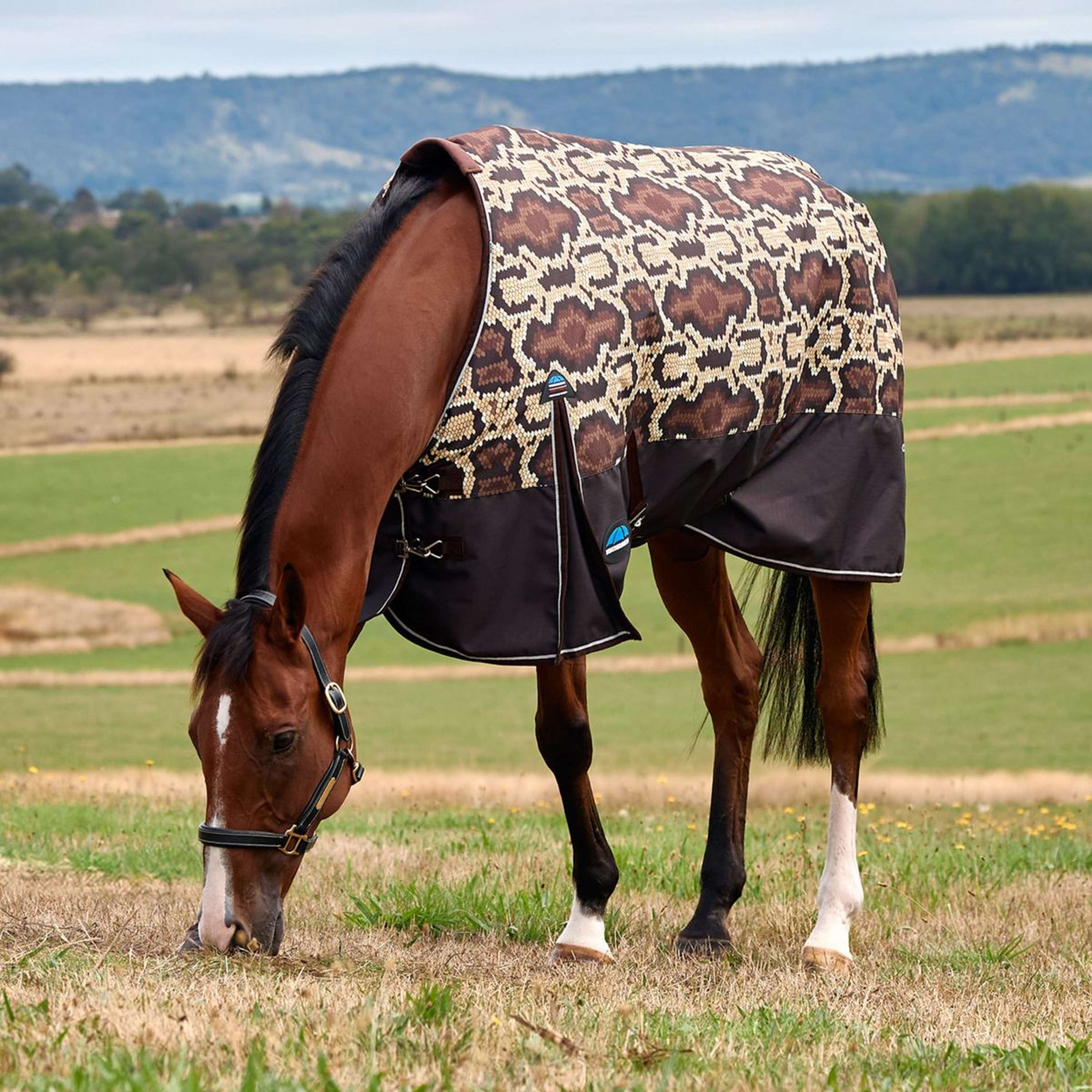 WeatherBeeta ComFiTec Legend Turnout 220g Rattler