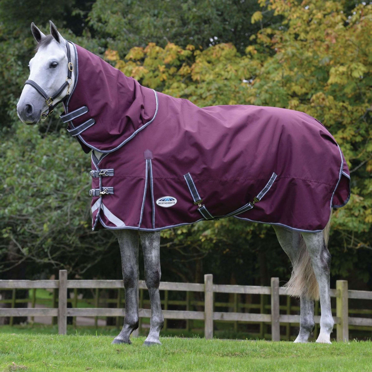 Weatherbeeta Winter Rug Comfitec Plus Dynamic II Detach-A-Neck Medium/Lite 100g Maroon/Grey/White