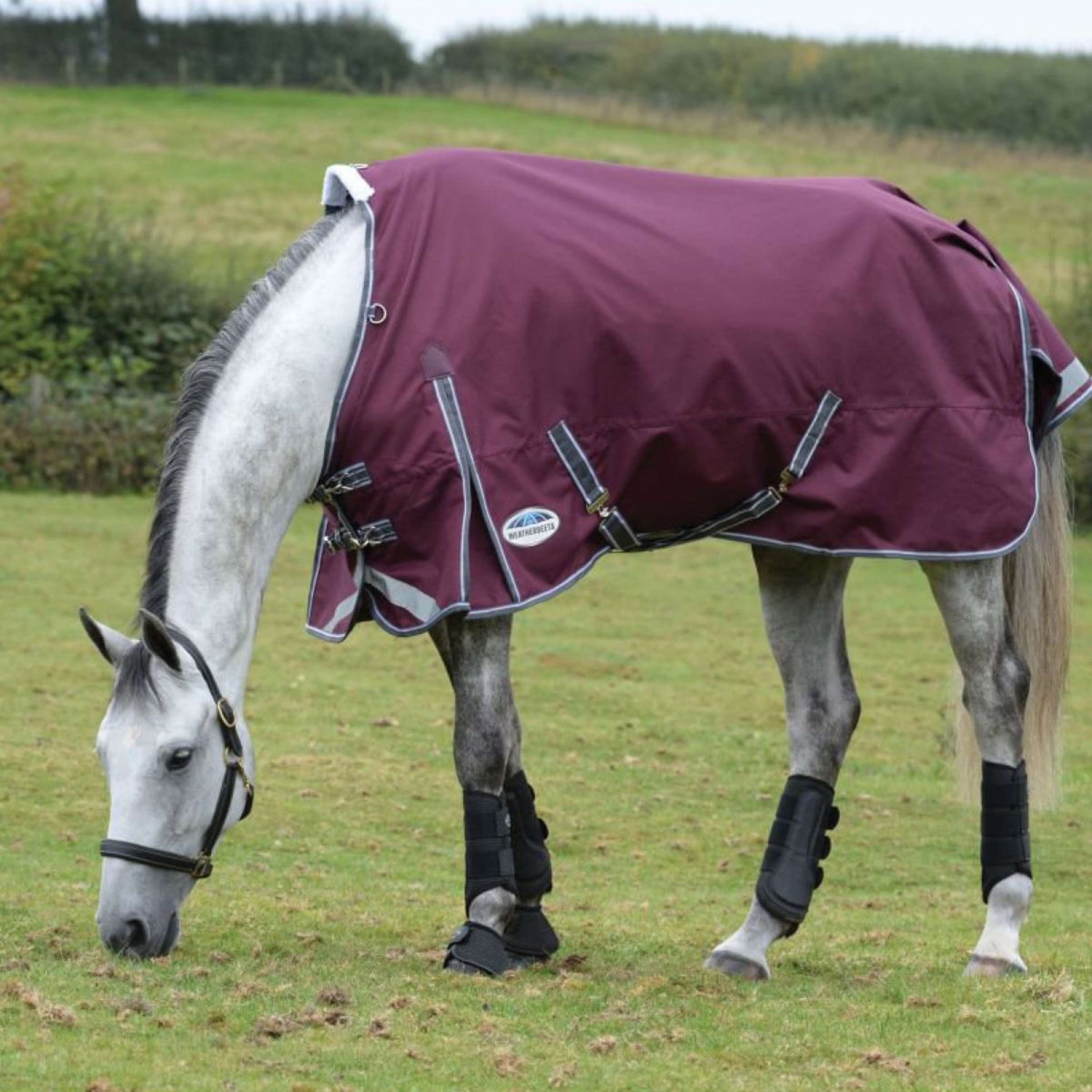 WeatherBeeta Rain Rug ComFiTec Plus Dynamic II Standard Neck Lite 0g Maroon/Grey/White WeatherBeeta Rain Rug ComFiTec Plus Dynamic II Standard Neck Lite 0g Maroon/Grey/White