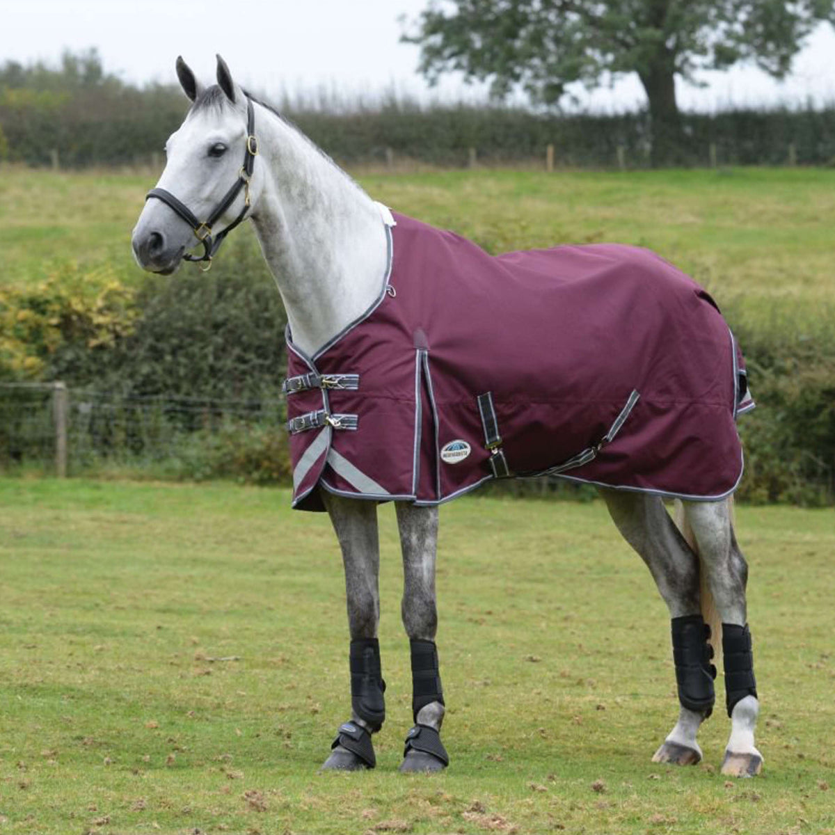 Weatherbeeta Winter Rug Comfitec Plus Dynamic II Standard Neck Medium Maroon/Grey/White